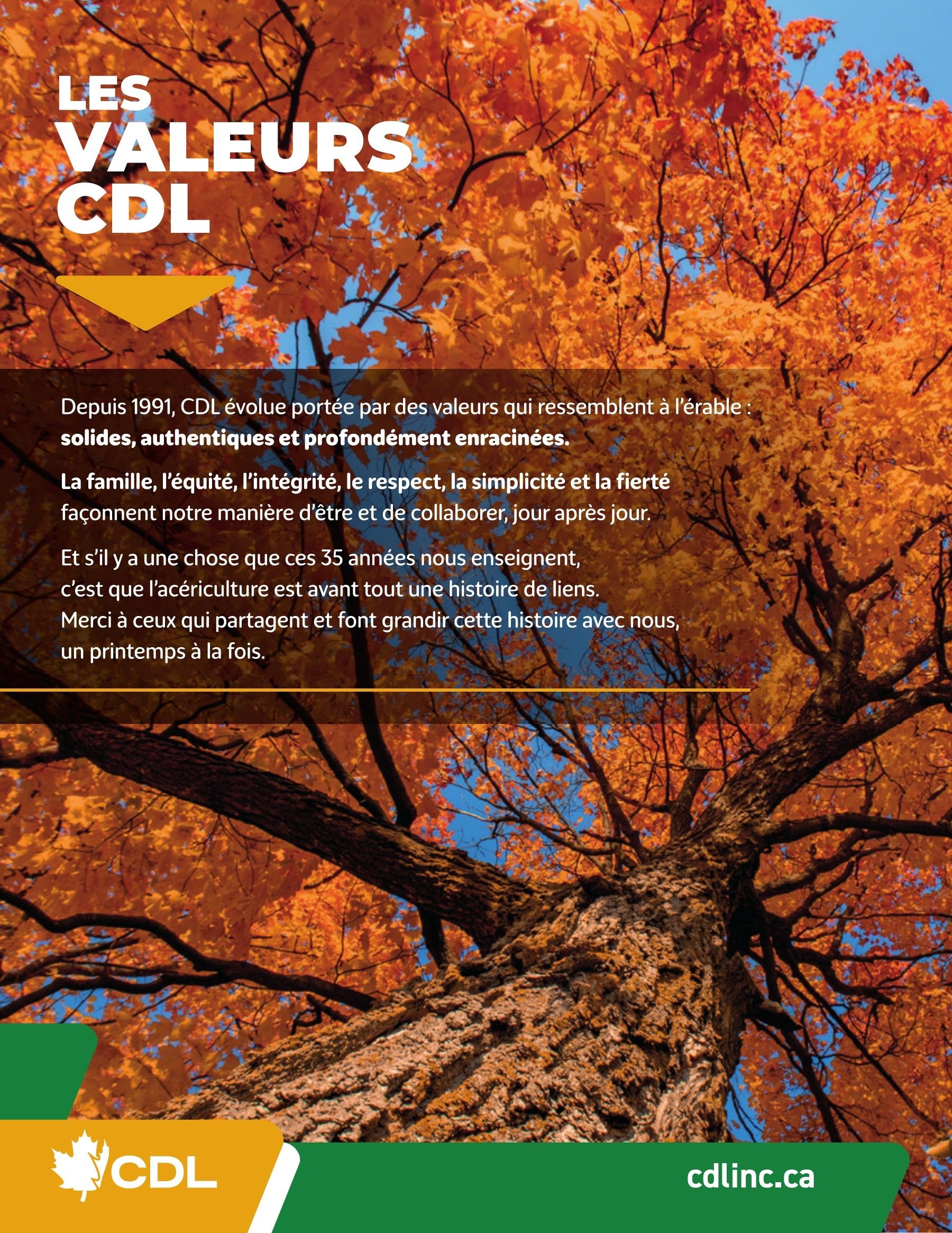 Les Équipements d'Érablière CDL Annual Maple Equipment Catalog Flyer January 1 - December 31, 2026
