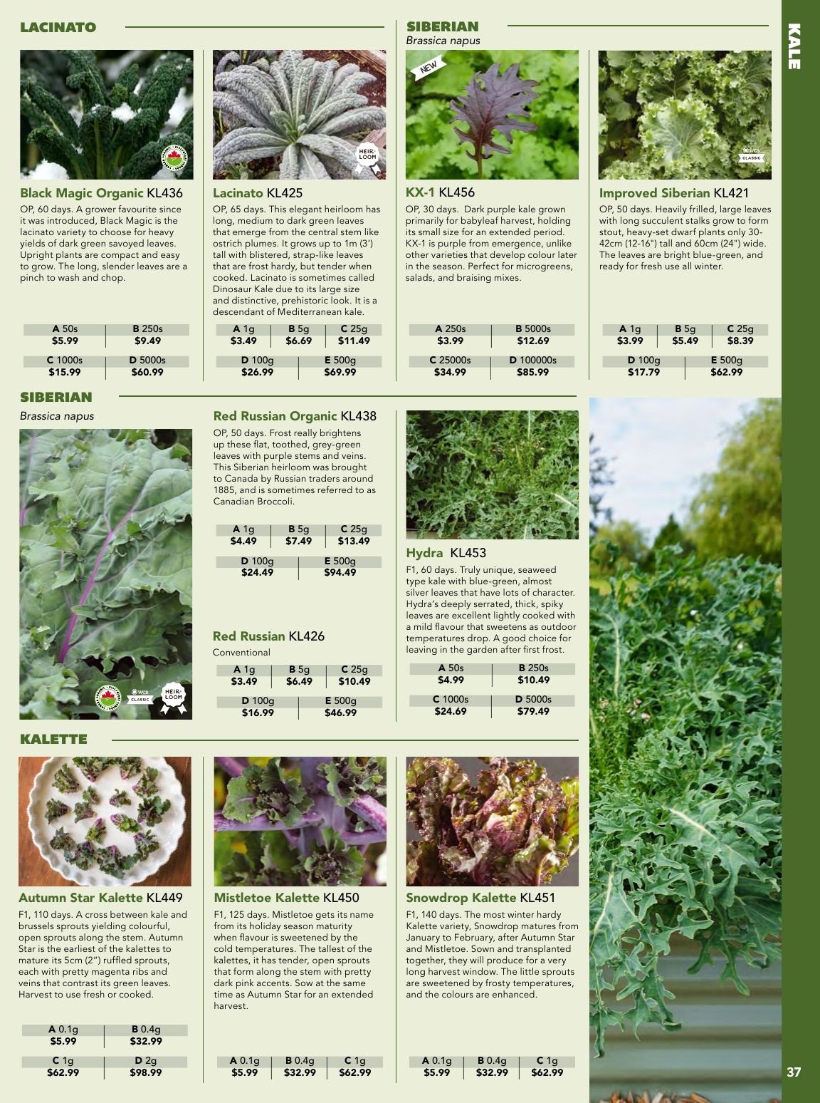 West Coast Seeds Growing Guide Flyer January 1 - December 31, 2026