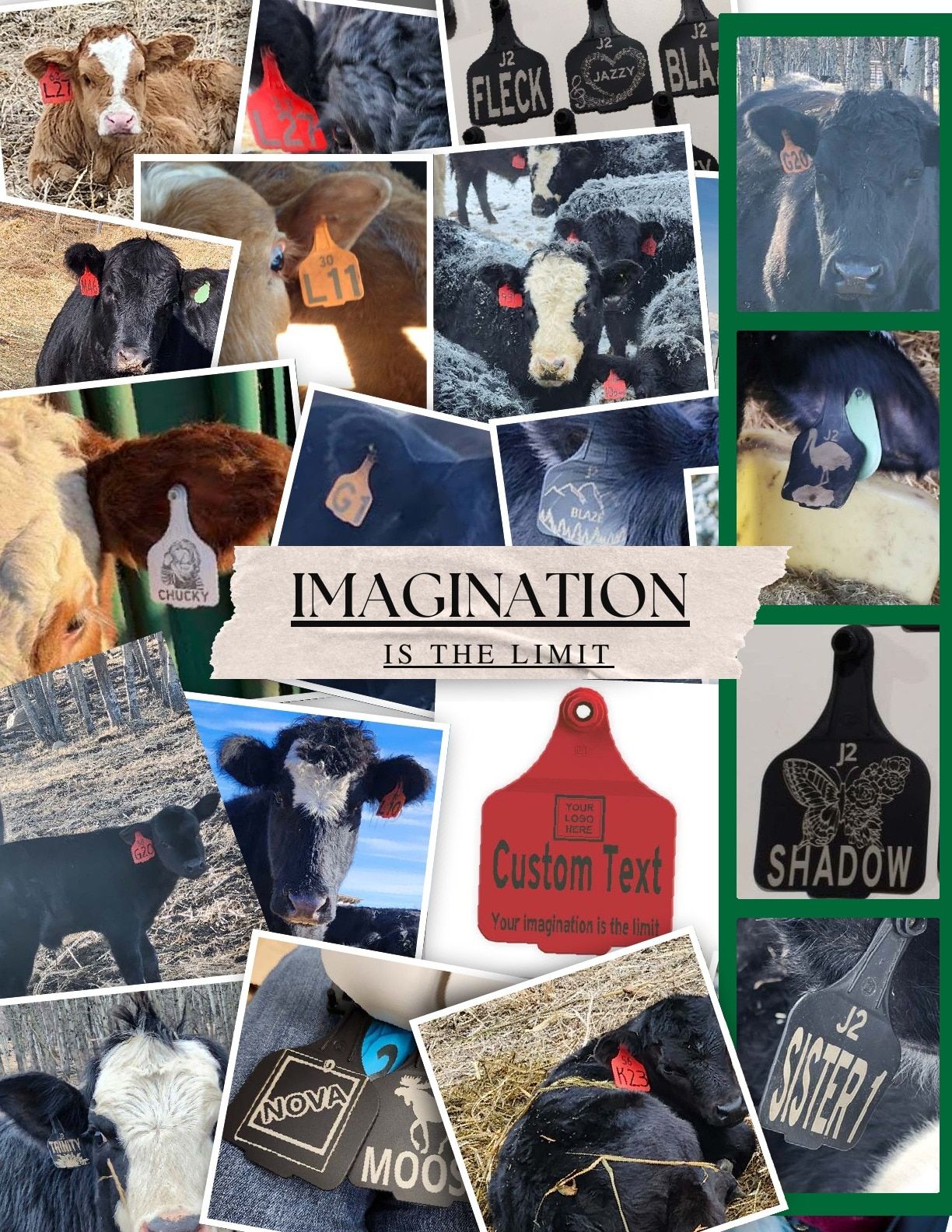 J2 Farm Supply Calving Catalogue Flyer January 1 - December 31, 2026