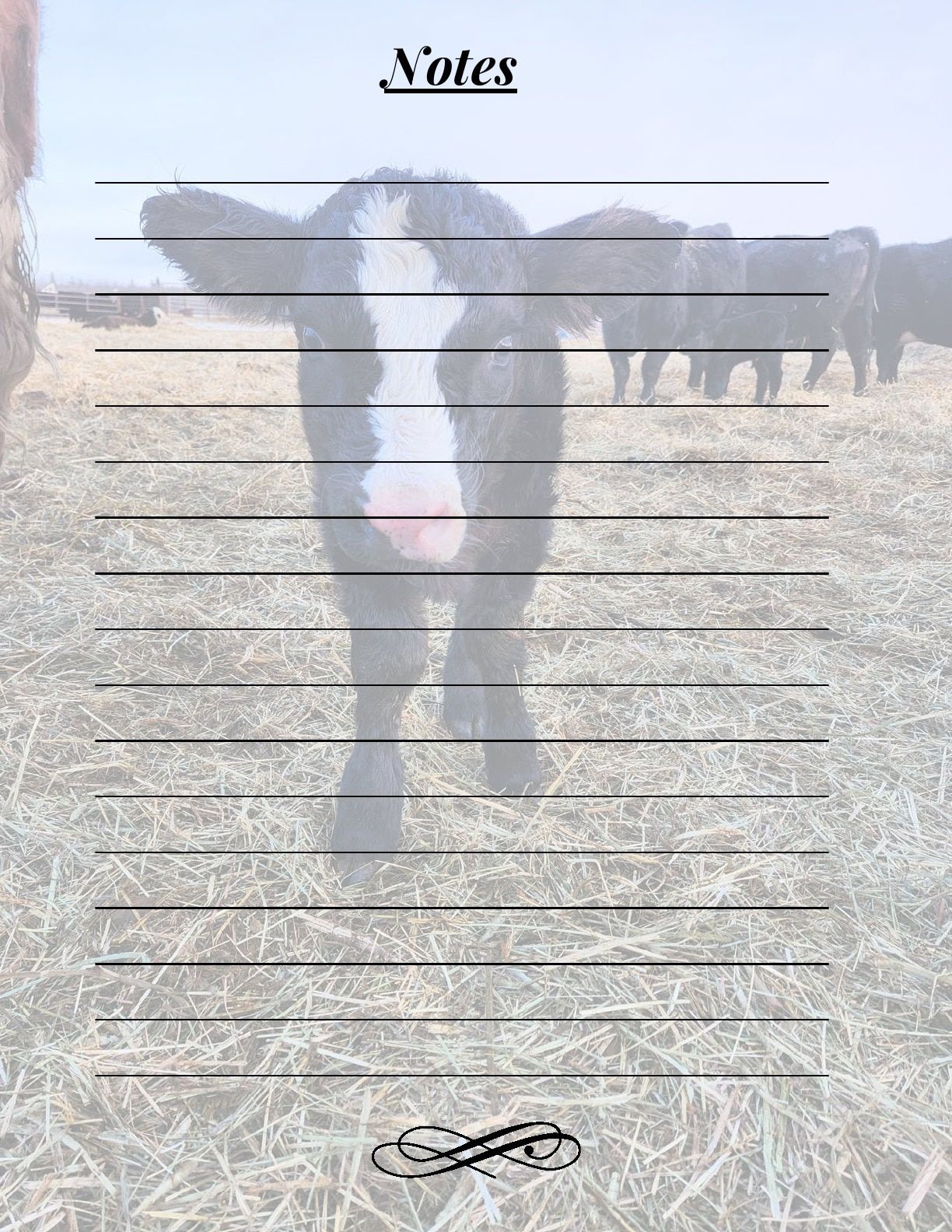 J2 Farm Supply Calving Catalogue Flyer January 1 - December 31, 2026