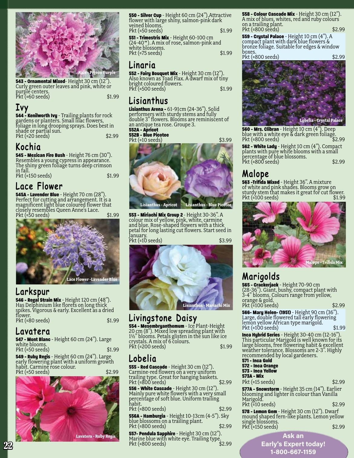 Early's Farm & Garden Centre Seed Catalogue Flyer January 1 - December 31, 2026