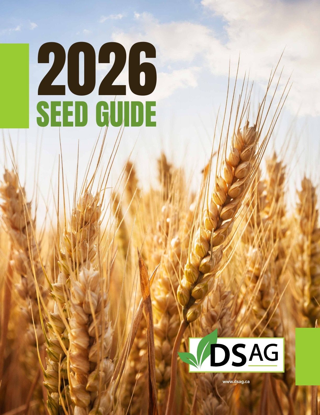 DSAG Seed Guide Flyer January 1 - December 31, 2026