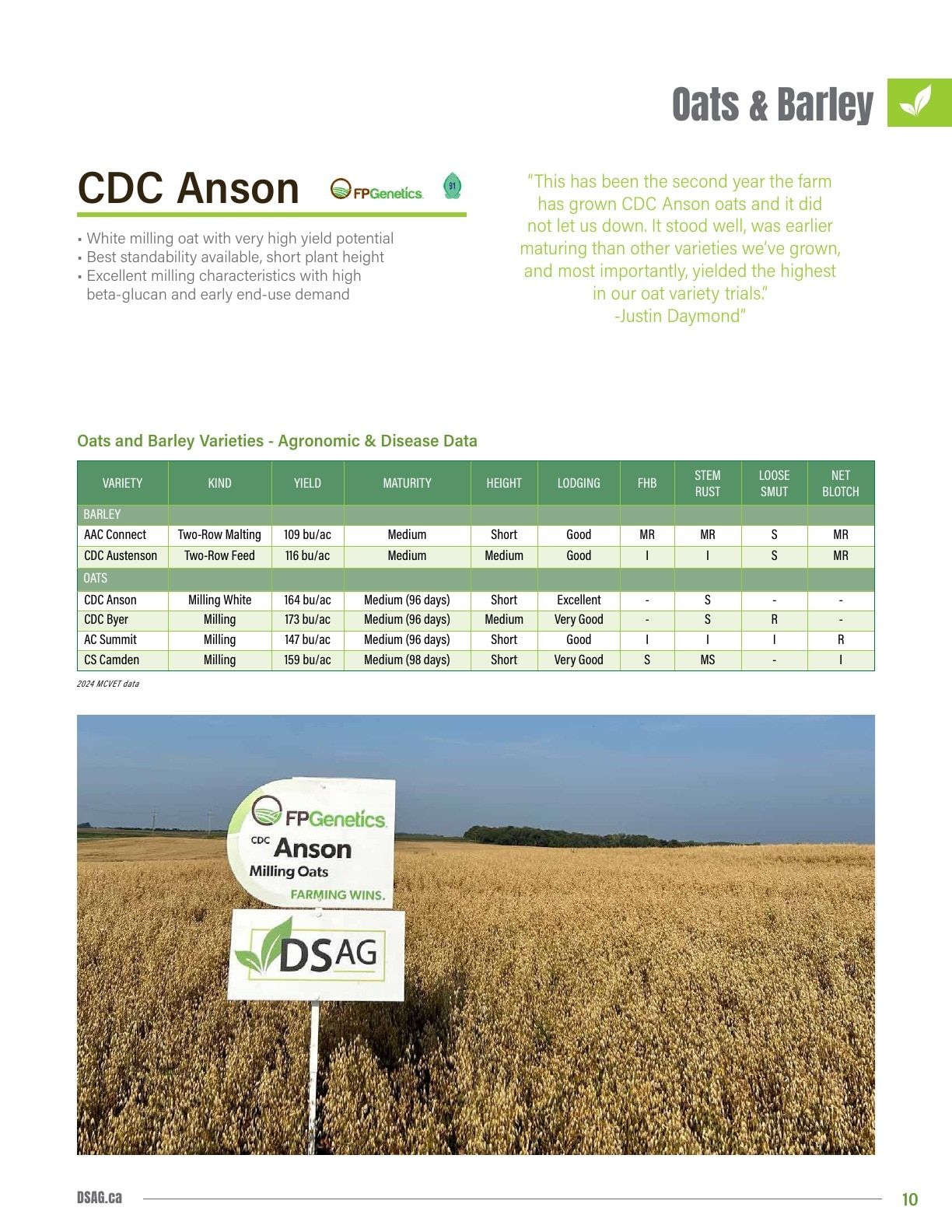 DSAG Seed Guide Flyer January 1 - December 31, 2026