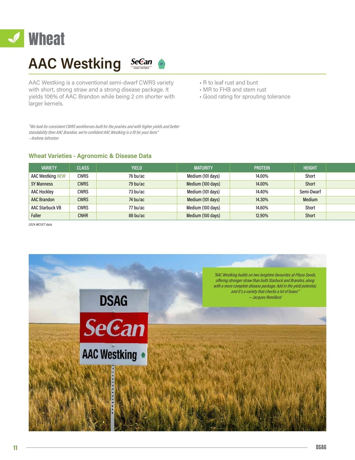 DSAG Seed Guide Flyer January 1 - December 31, 2026