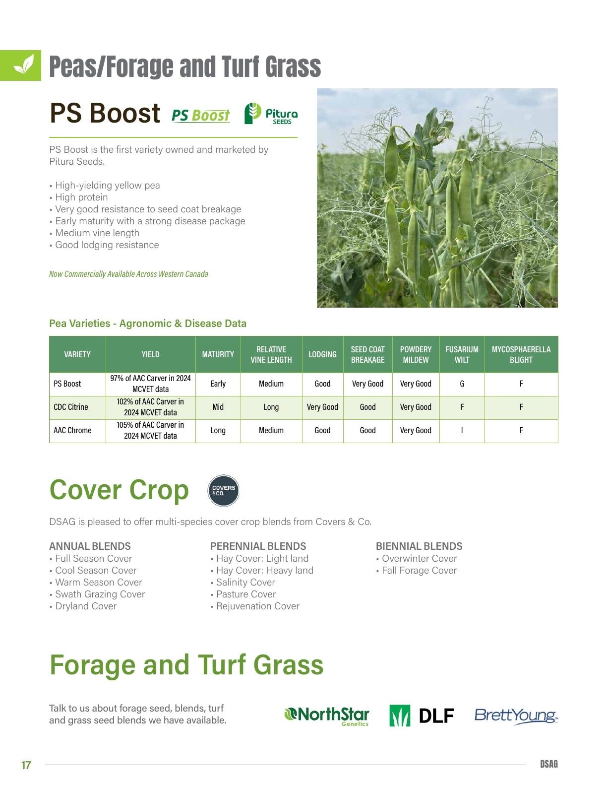 DSAG Seed Guide Flyer January 1 - December 31, 2026