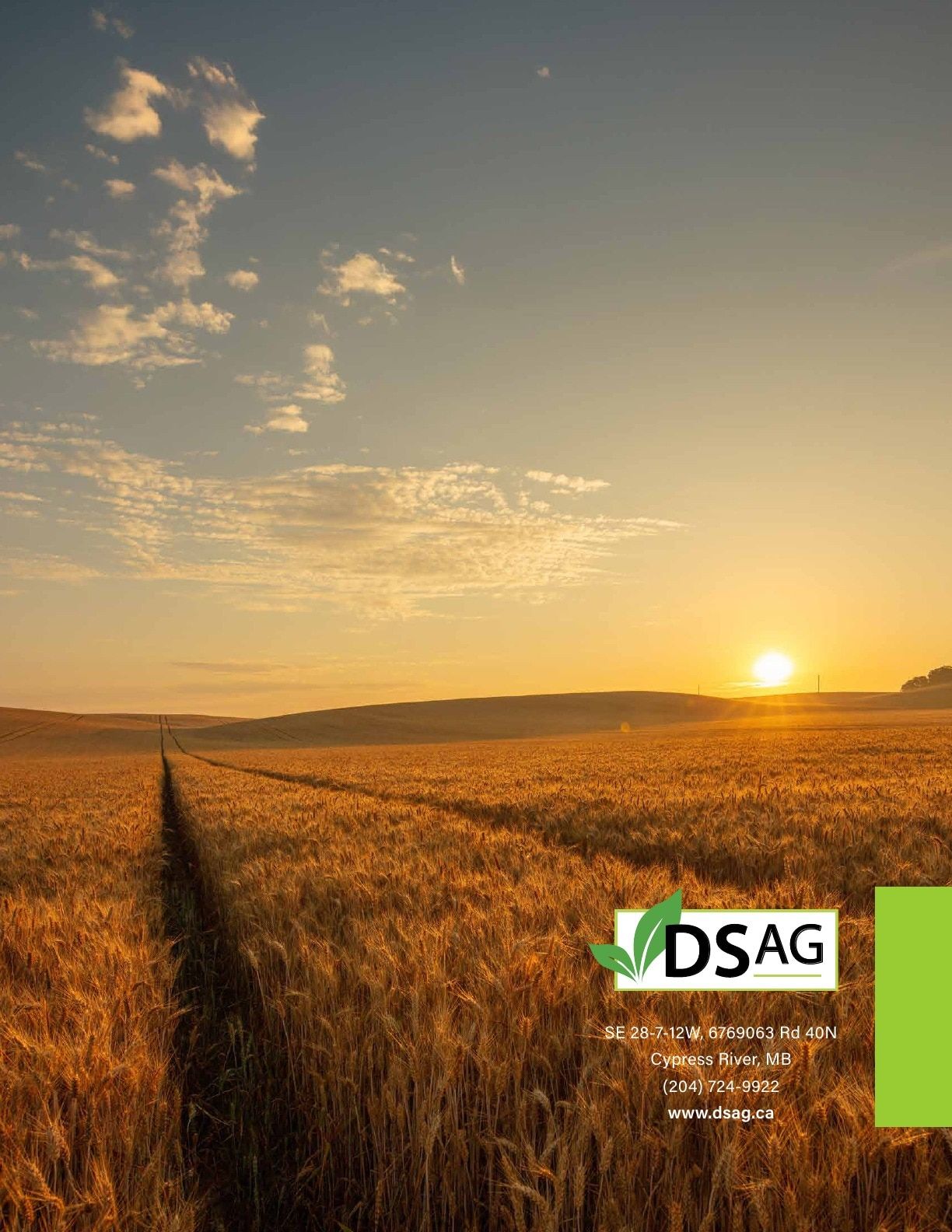 DSAG Seed Guide Flyer January 1 - December 31, 2026