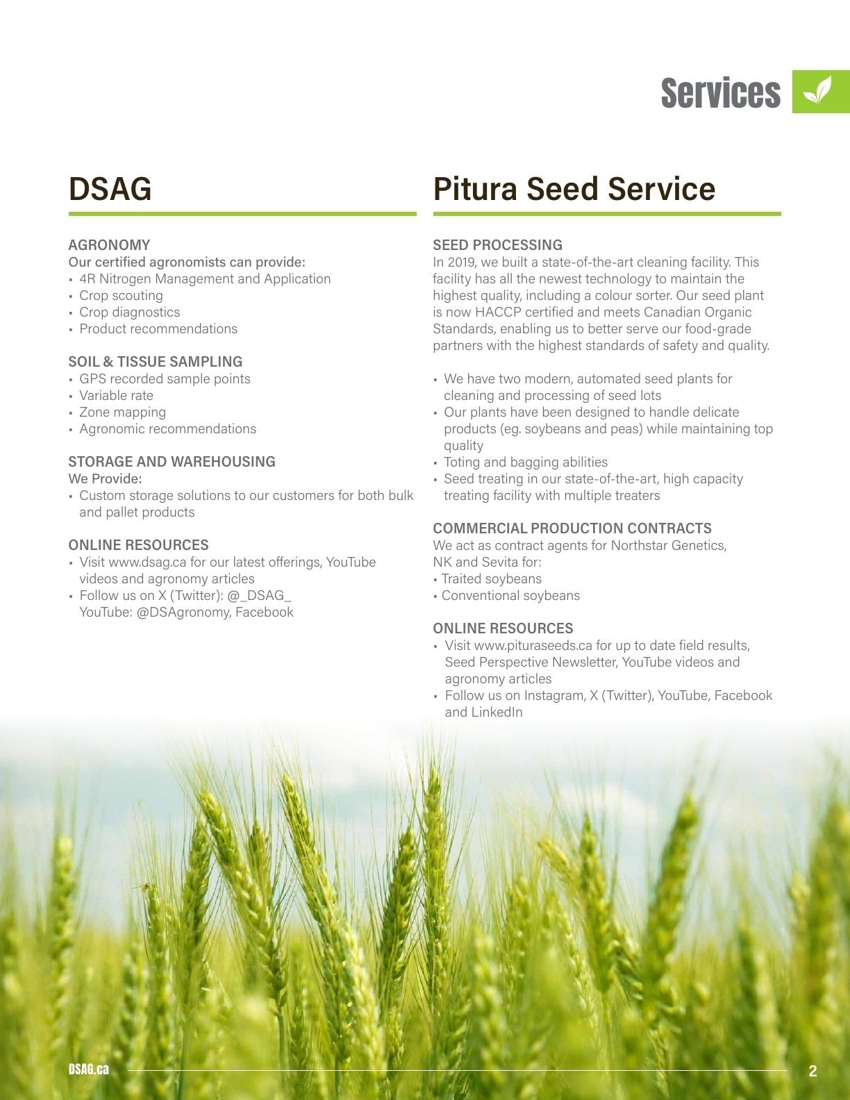 DSAG Seed Guide Flyer January 1 - December 31, 2026