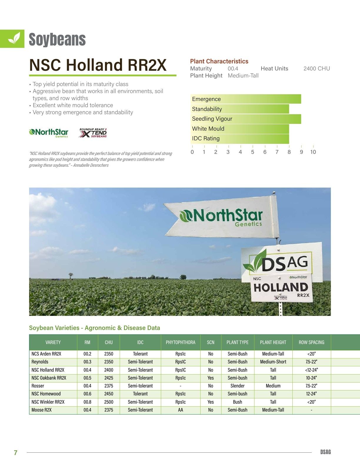 DSAG Seed Guide Flyer January 1 - December 31, 2026