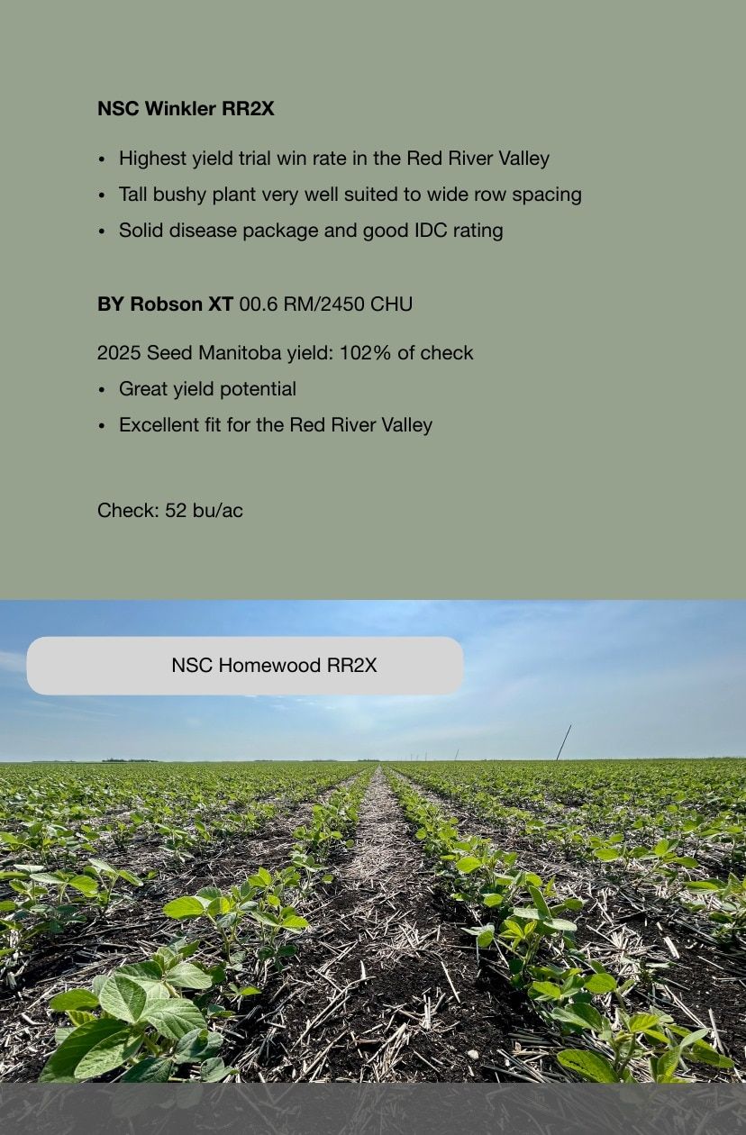 Manness Seed Seed Guide Flyer January 1 - December 31, 2026