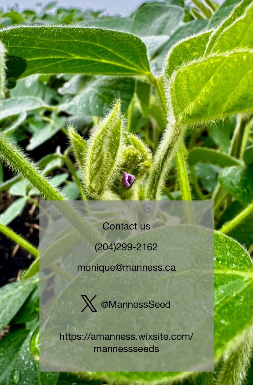 Manness Seed Seed Guide Flyer January 1 - December 31, 2026