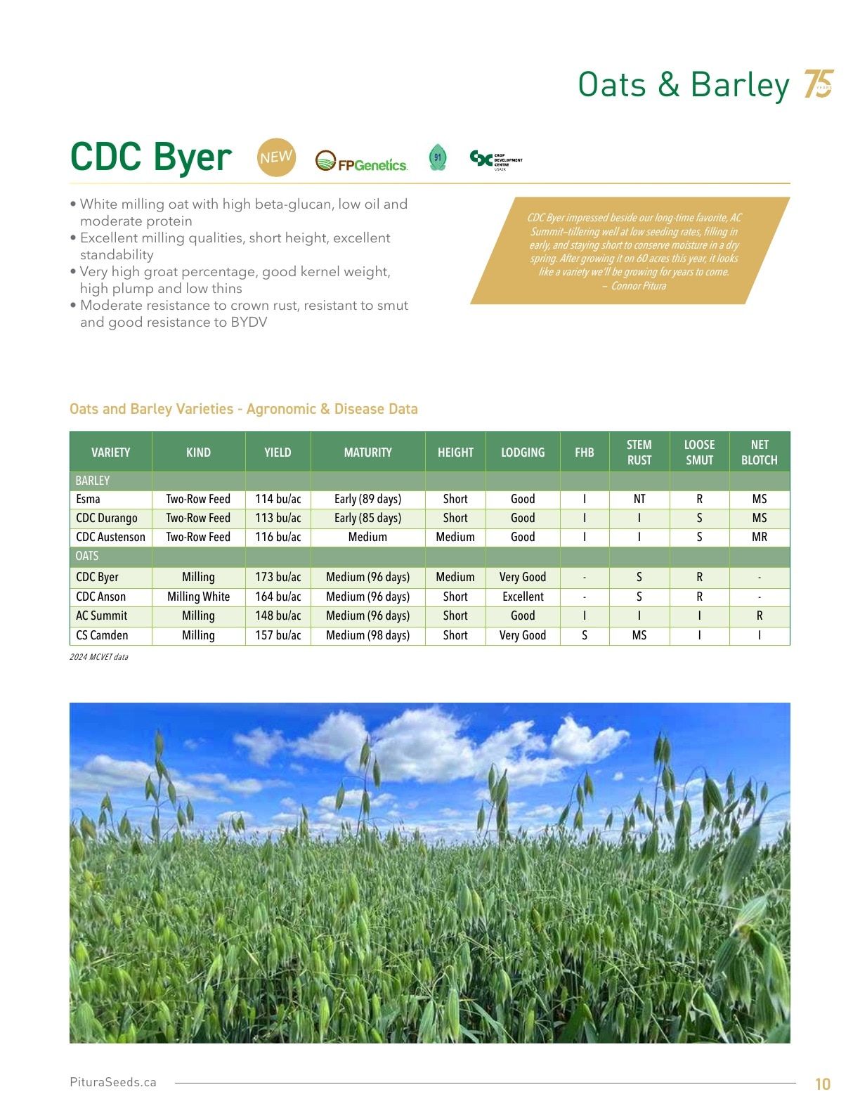 Pitura Seeds Seed Guide Flyer January 1 - December 31, 2026