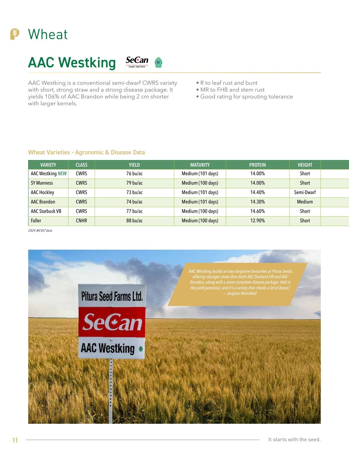 Pitura Seeds Seed Guide Flyer January 1 - December 31, 2026