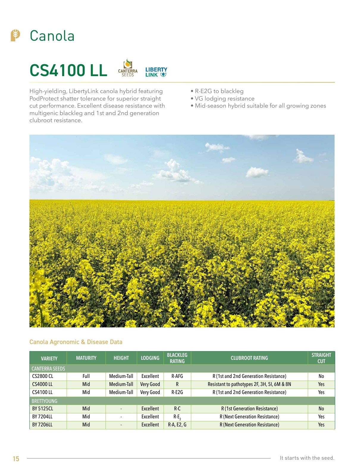 Pitura Seeds Seed Guide Flyer January 1 - December 31, 2026