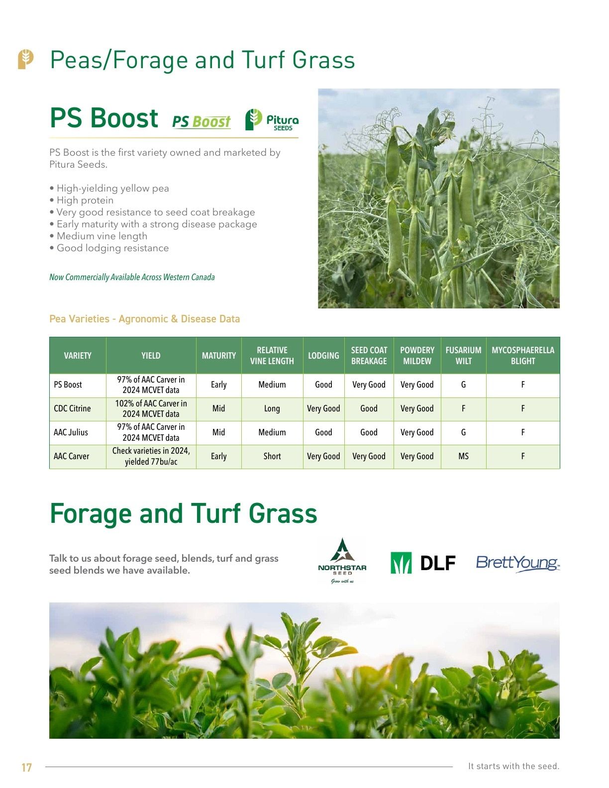 Pitura Seeds Seed Guide Flyer January 1 - December 31, 2026
