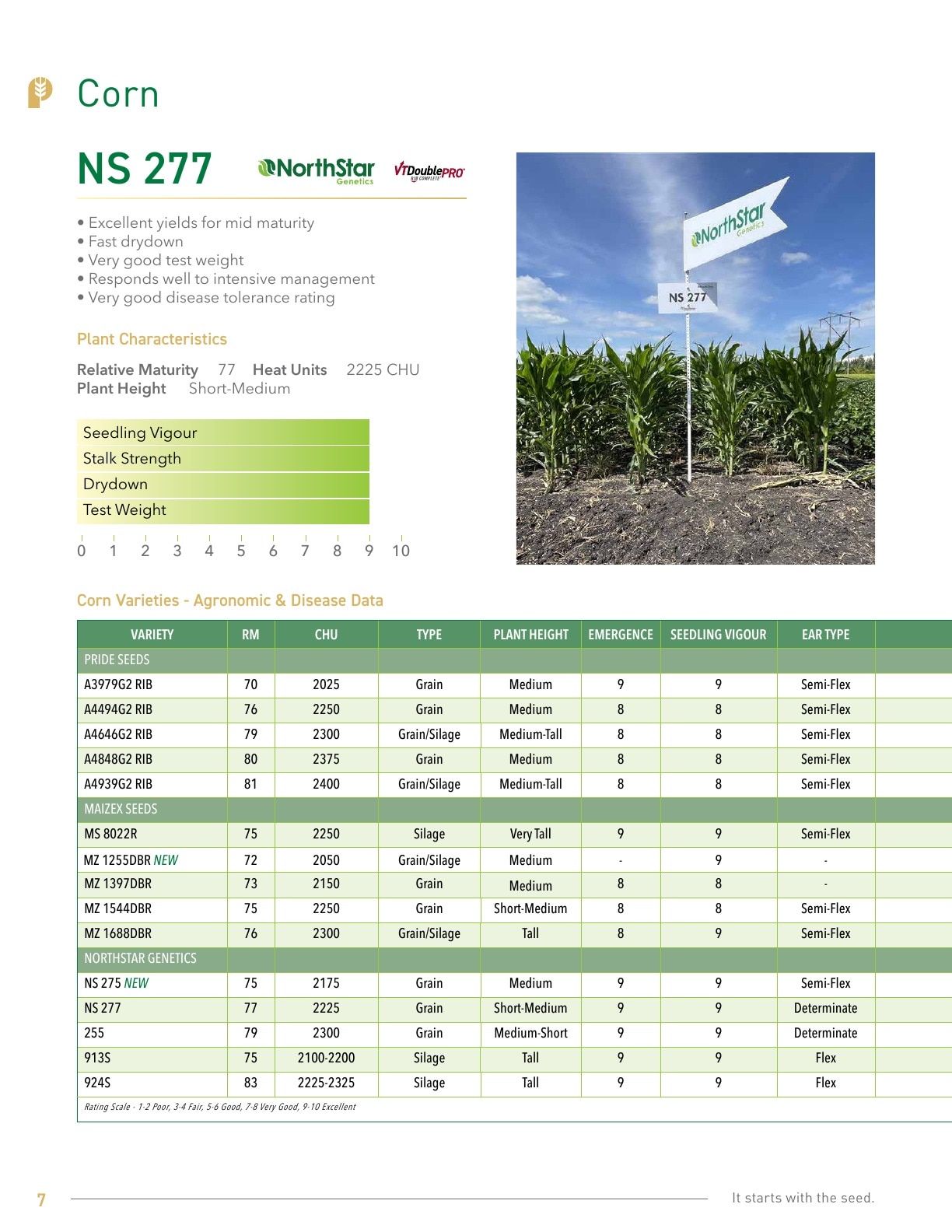 Pitura Seeds Seed Guide Flyer January 1 - December 31, 2026