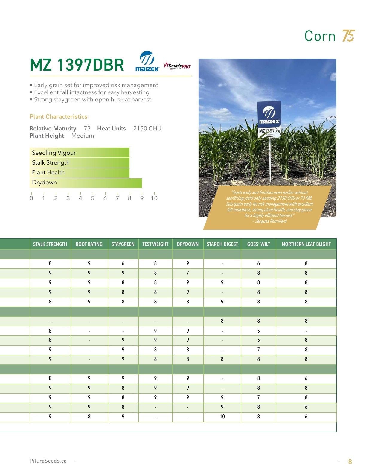 Pitura Seeds Seed Guide Flyer January 1 - December 31, 2026