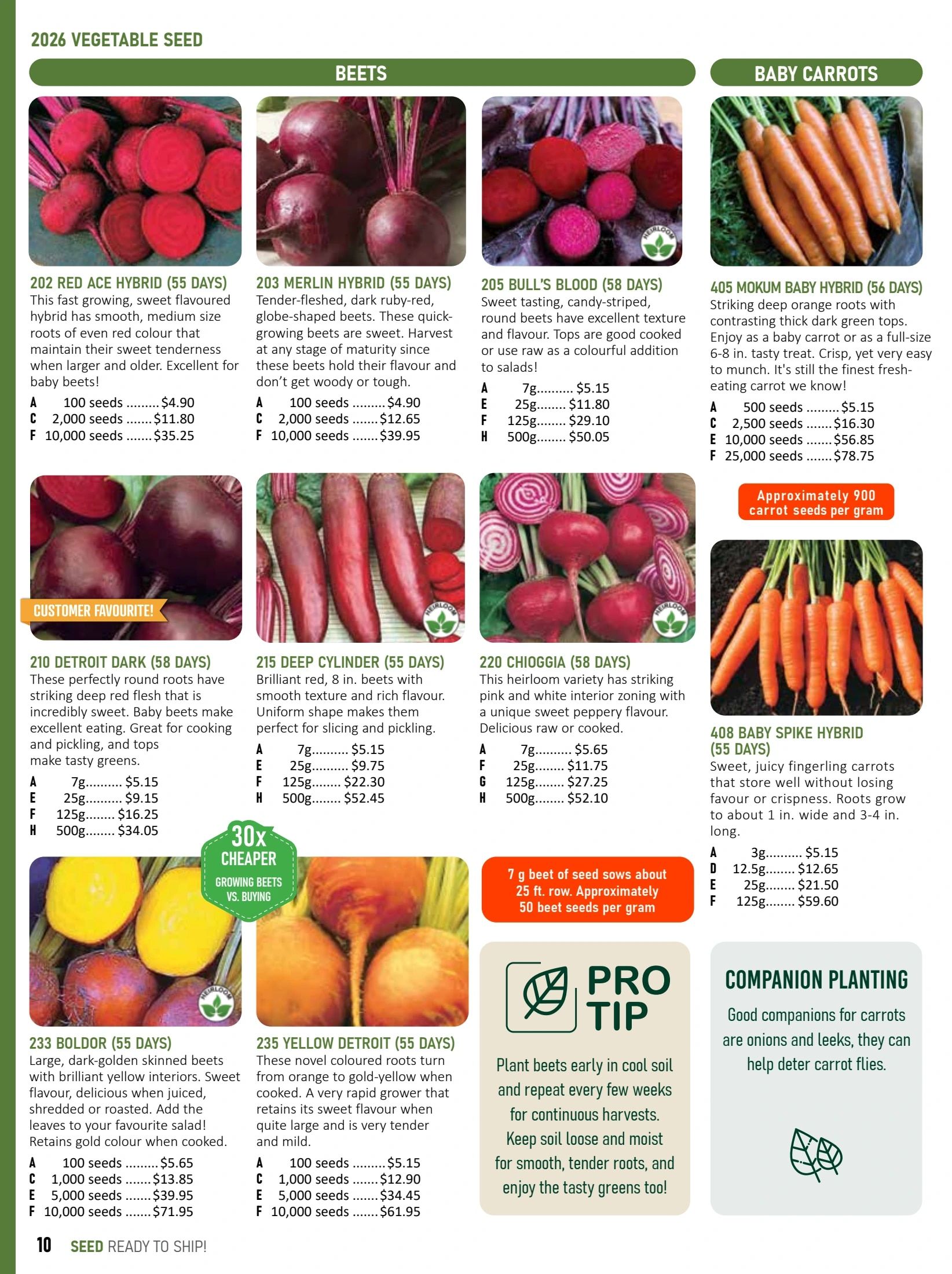 T&T Seeds Catalogue Flyer January 1 - December 31, 2026