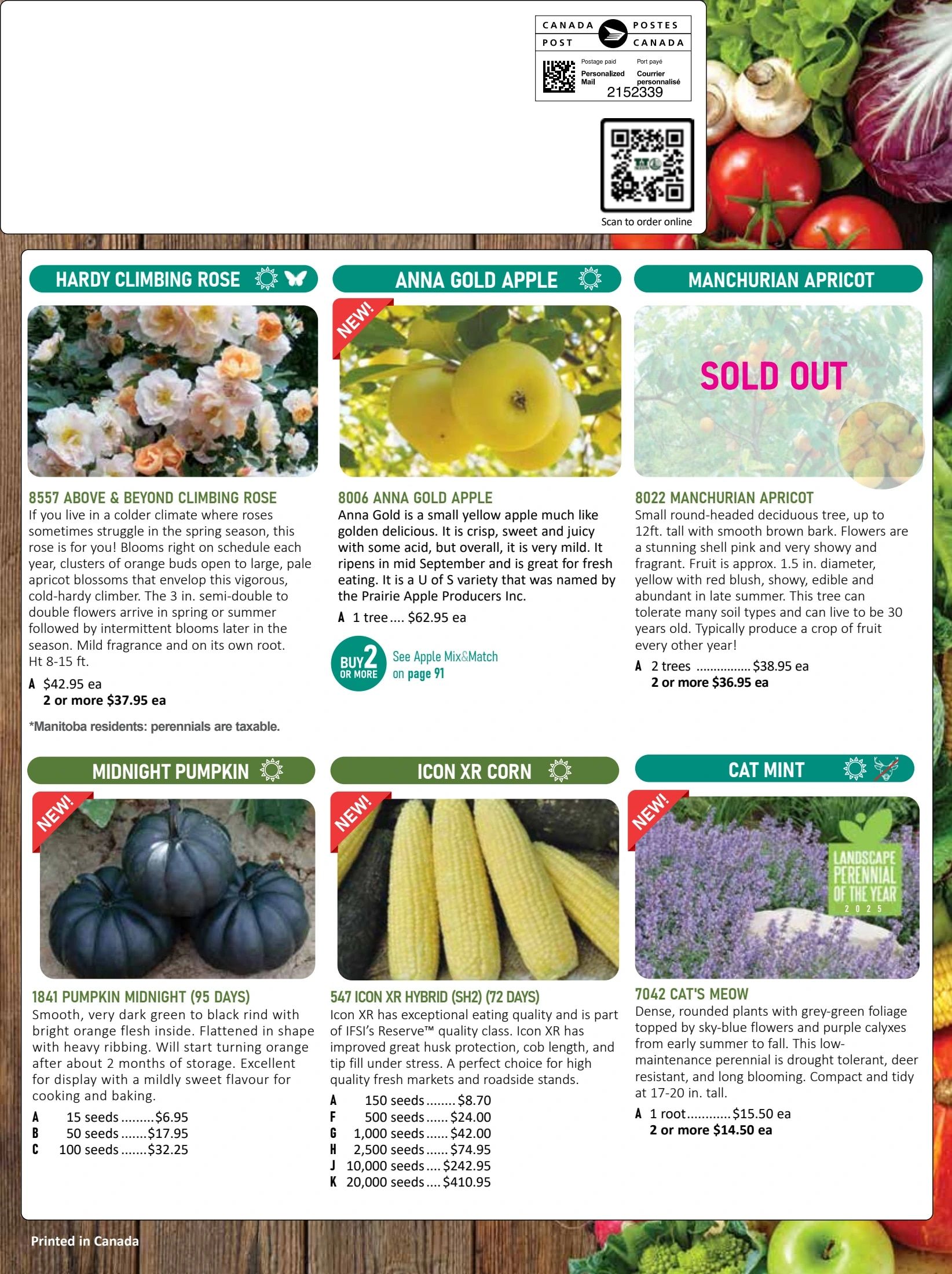 T&T Seeds Catalogue Flyer January 1 - December 31, 2026