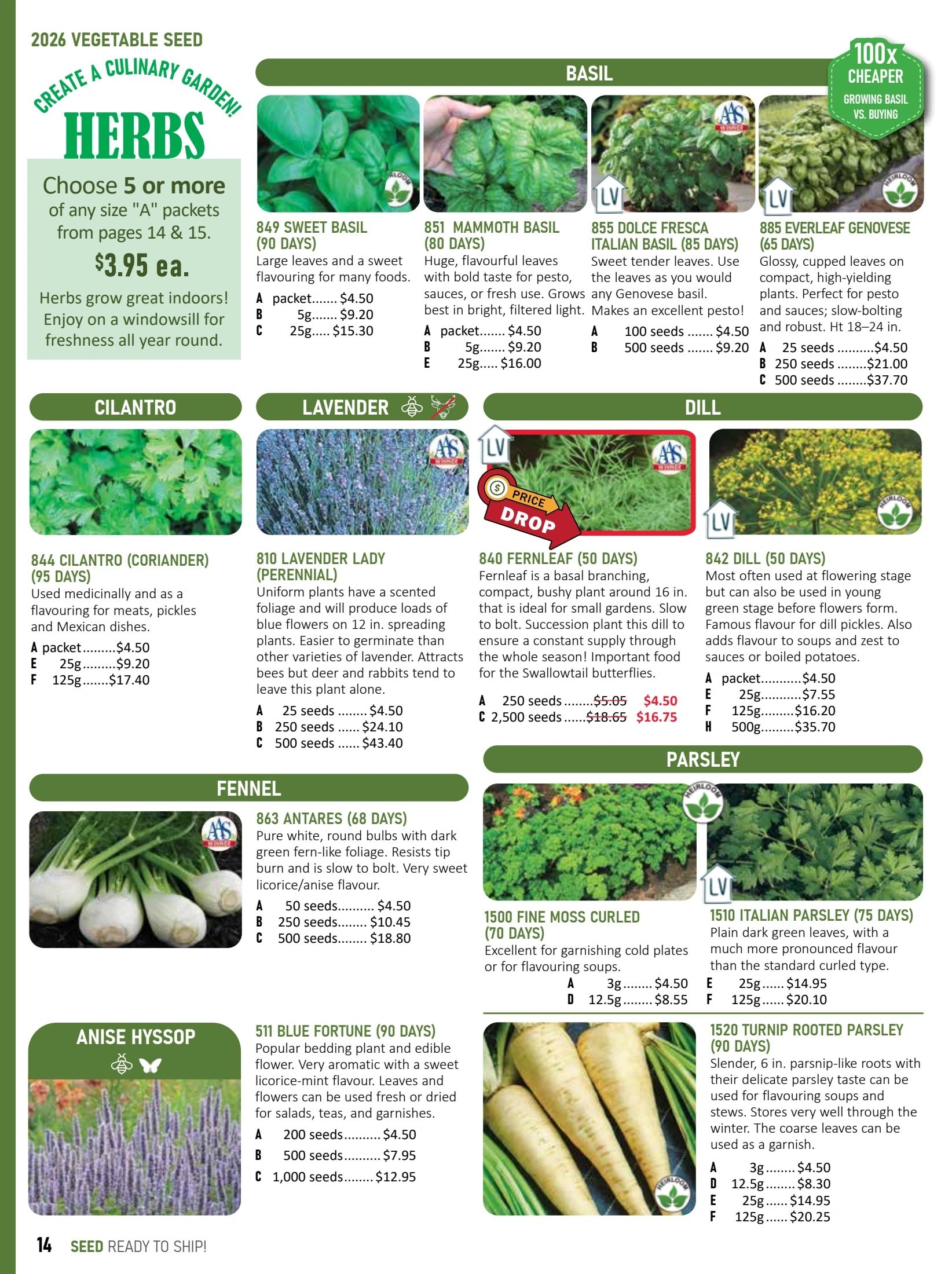 T&T Seeds Catalogue Flyer January 1 - December 31, 2026