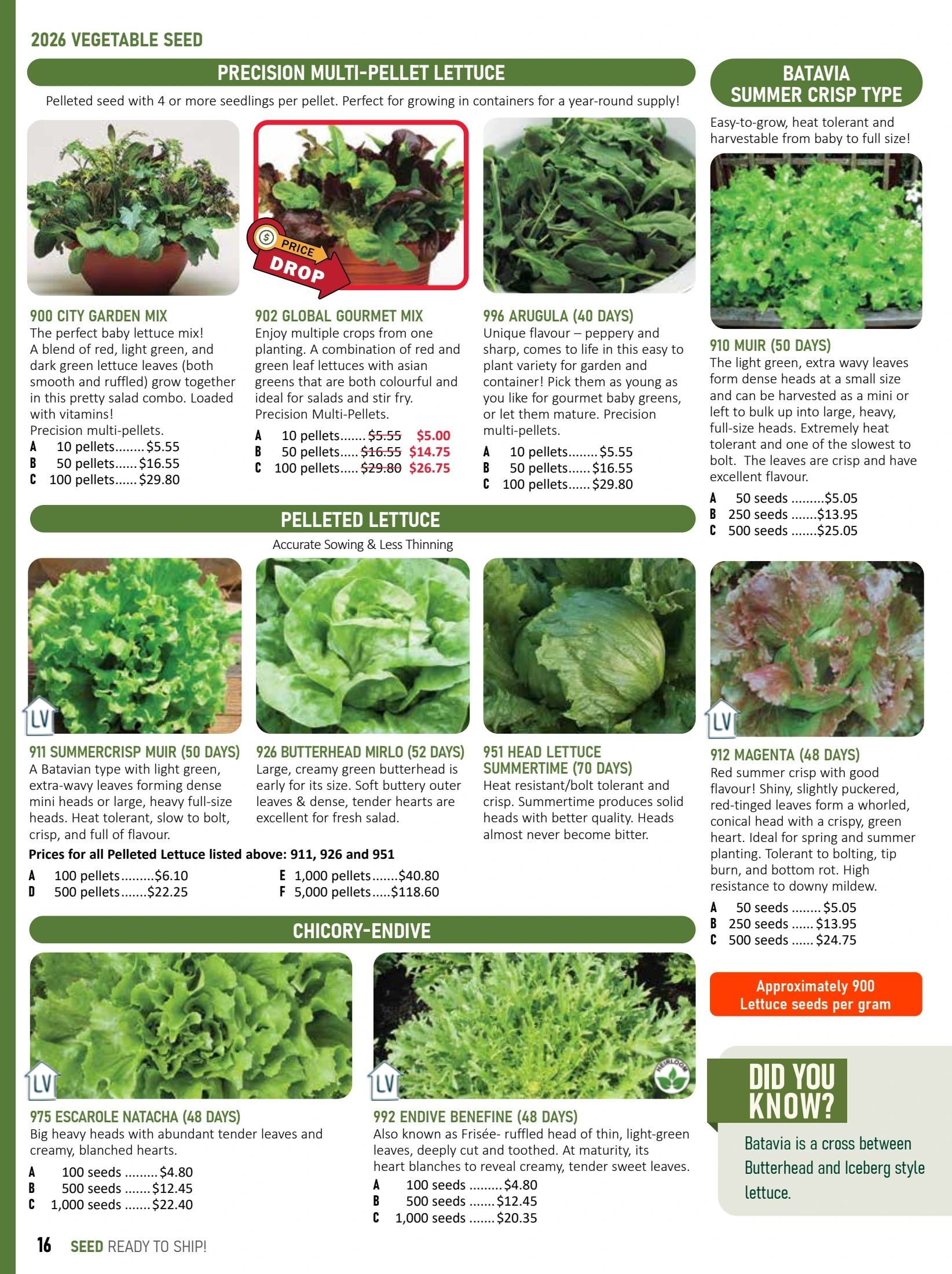T&T Seeds Catalogue Flyer January 1 - December 31, 2026