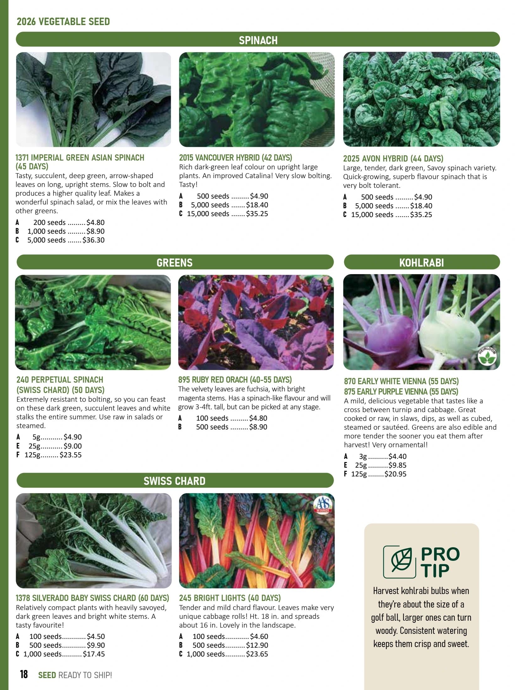 T&T Seeds Catalogue Flyer January 1 - December 31, 2026