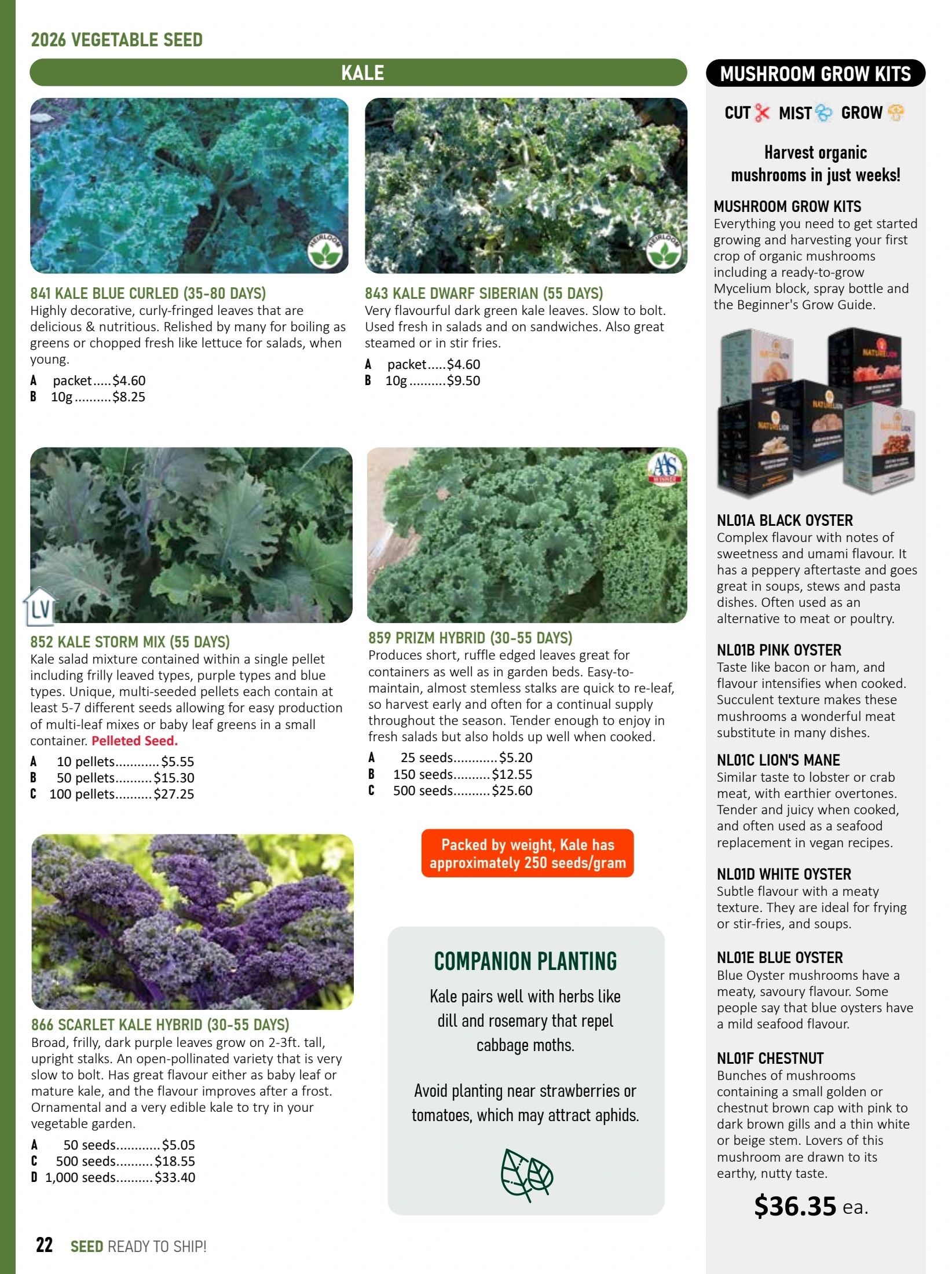 T&T Seeds Catalogue Flyer January 1 - December 31, 2026