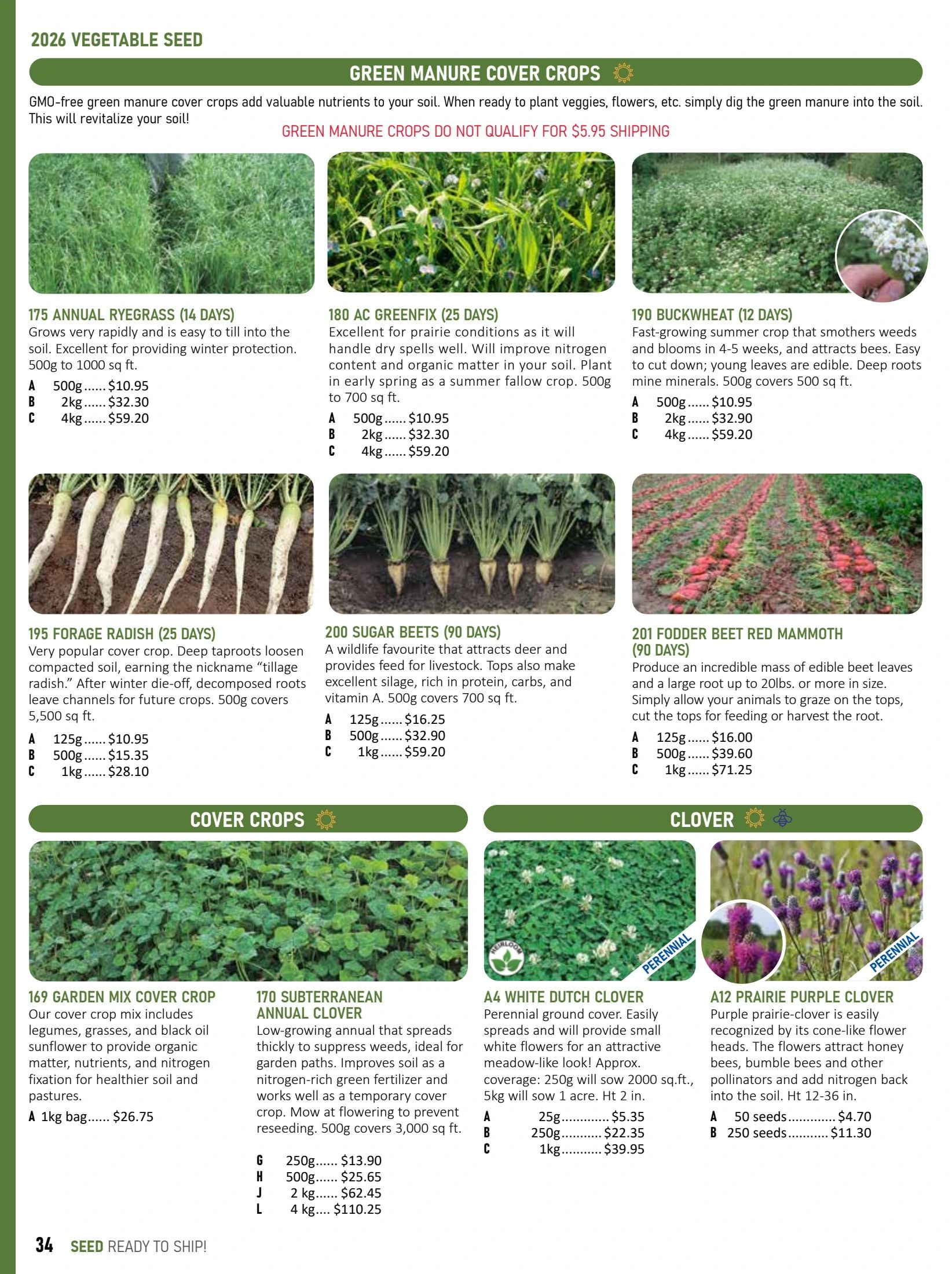 T&T Seeds Catalogue Flyer January 1 - December 31, 2026