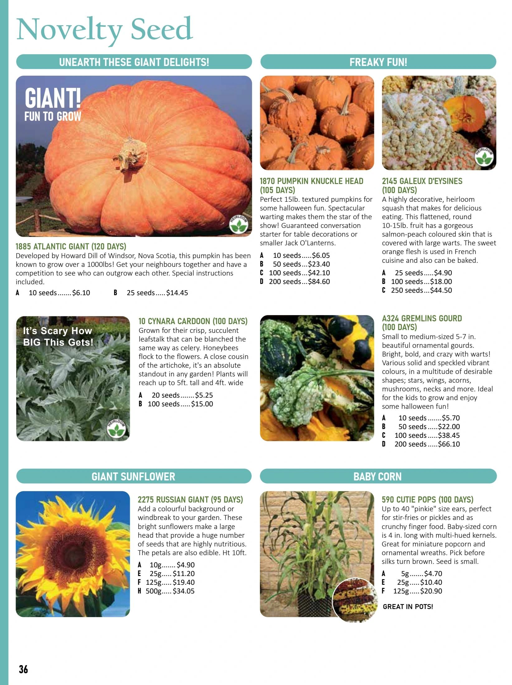 T&T Seeds Catalogue Flyer January 1 - December 31, 2026