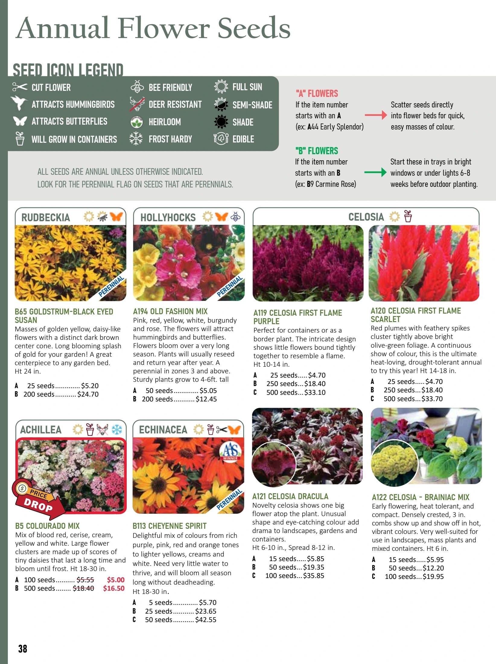 T&T Seeds Catalogue Flyer January 1 - December 31, 2026