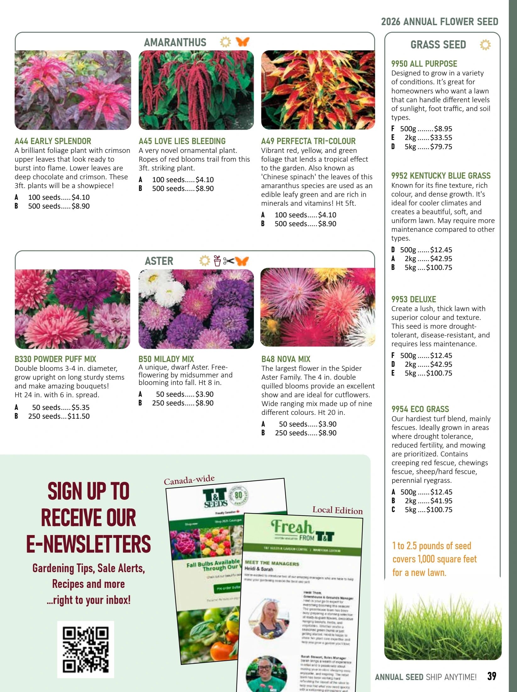 T&T Seeds Catalogue Flyer January 1 - December 31, 2026
