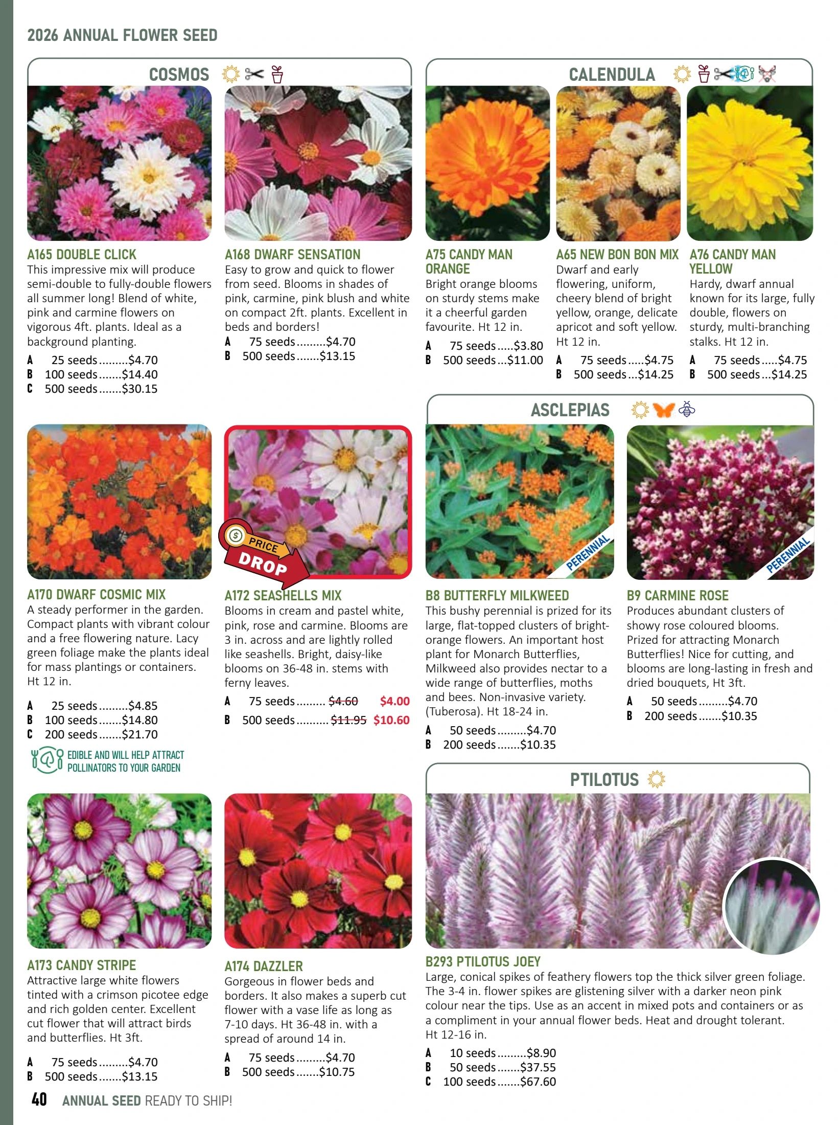 T&T Seeds Catalogue Flyer January 1 - December 31, 2026