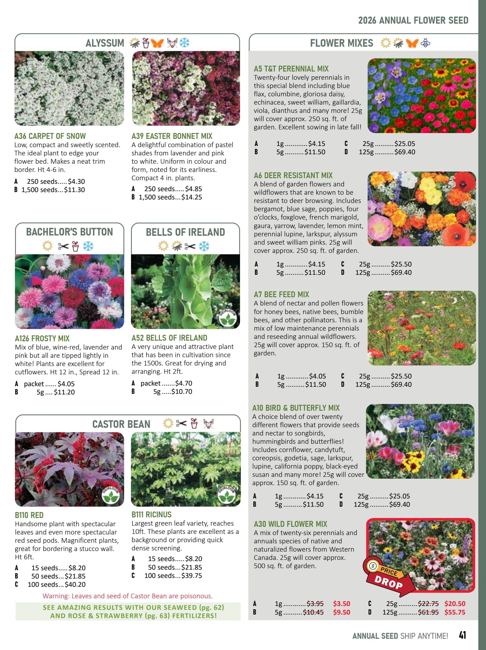 T&T Seeds Catalogue Flyer January 1 - December 31, 2026