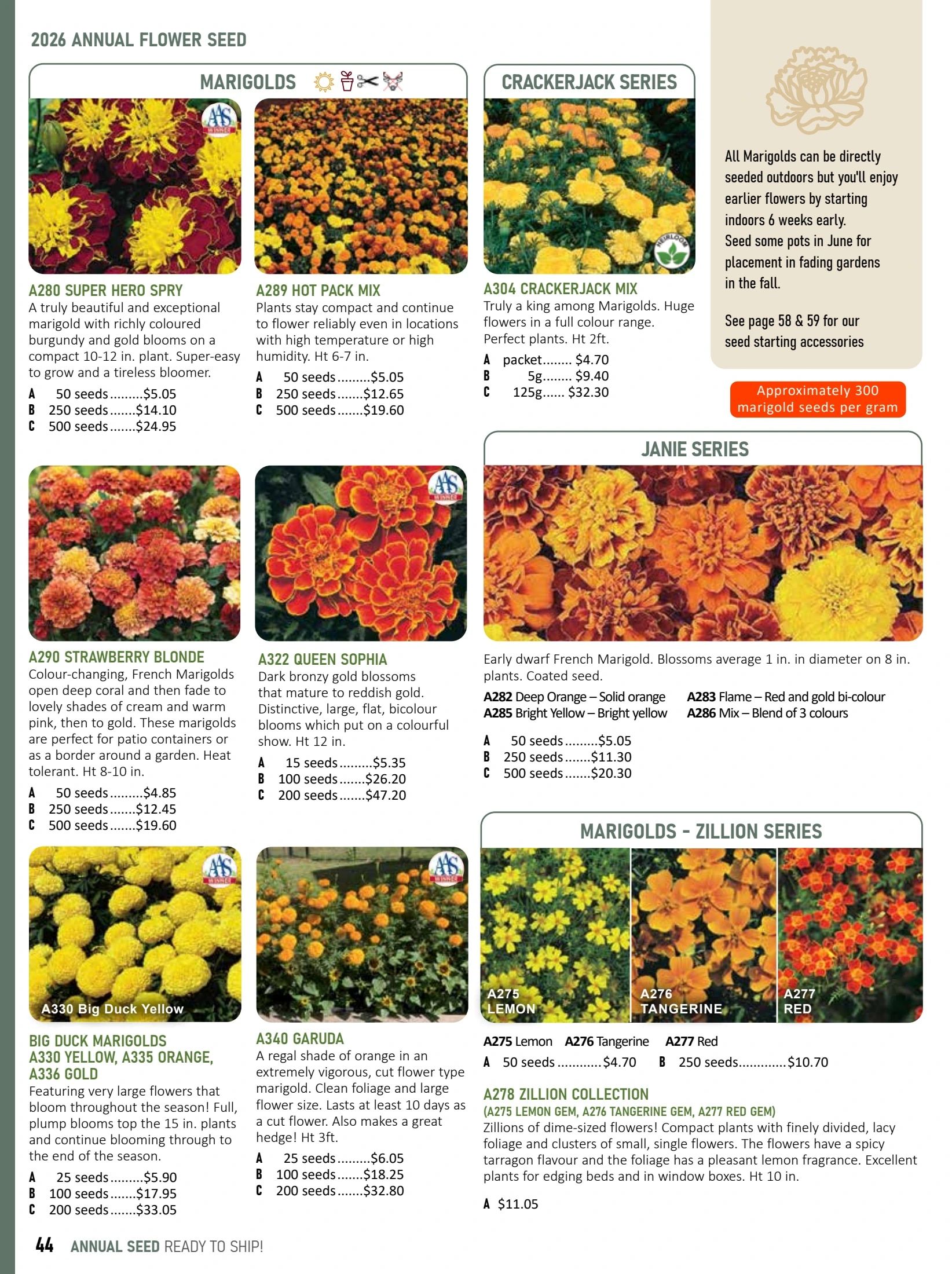 T&T Seeds Catalogue Flyer January 1 - December 31, 2026