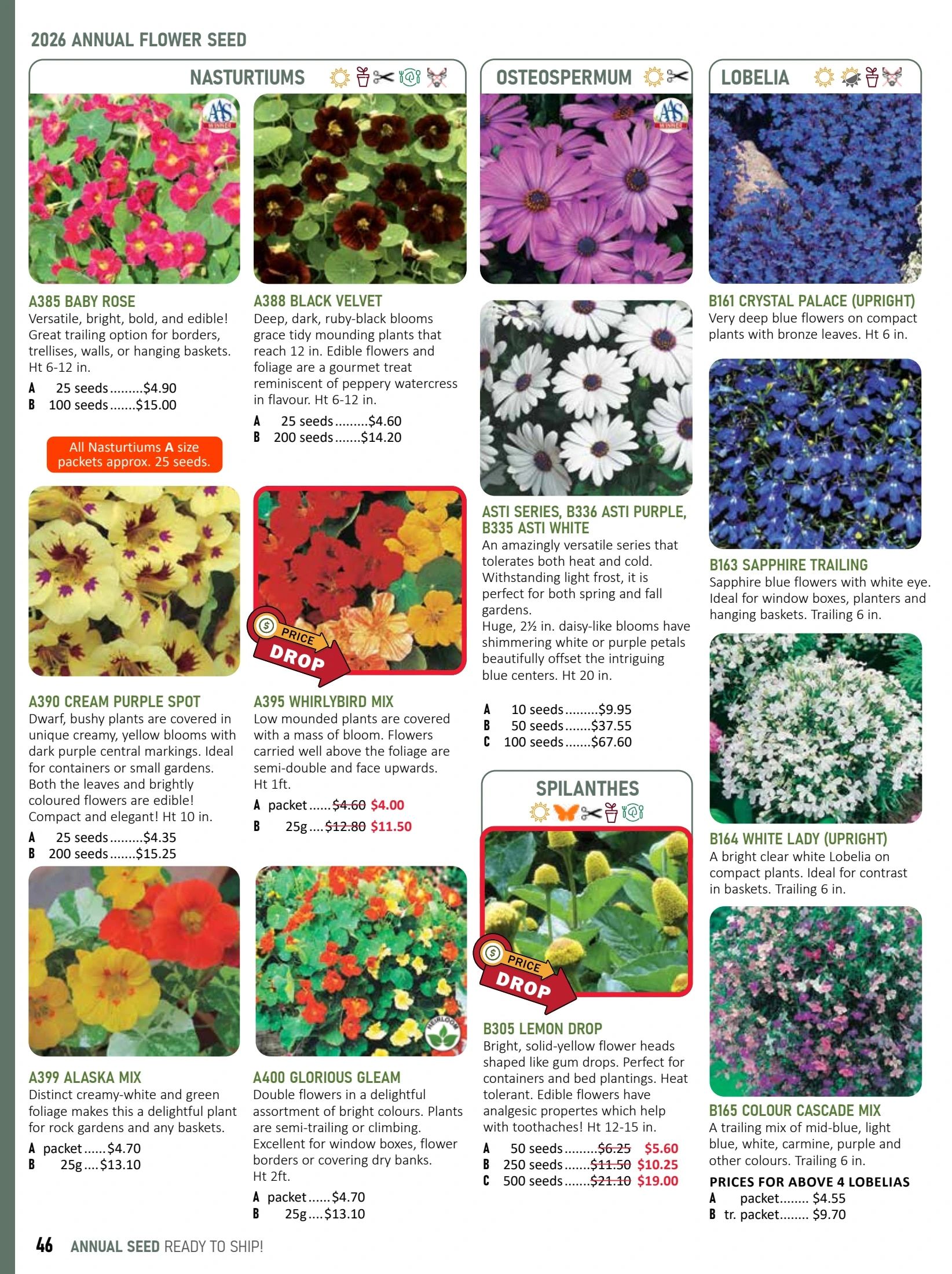 T&T Seeds Catalogue Flyer January 1 - December 31, 2026