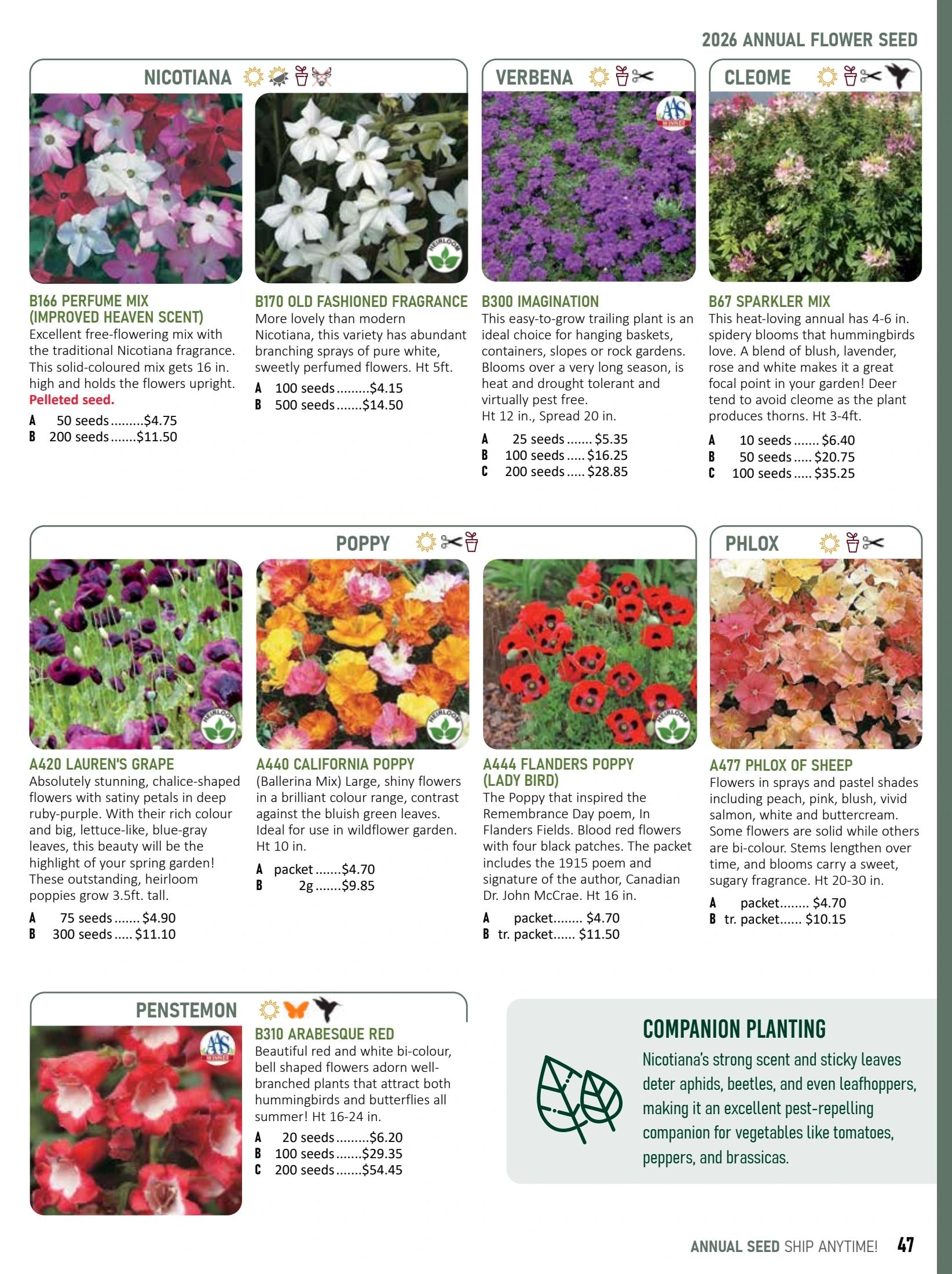 T&T Seeds Catalogue Flyer January 1 - December 31, 2026