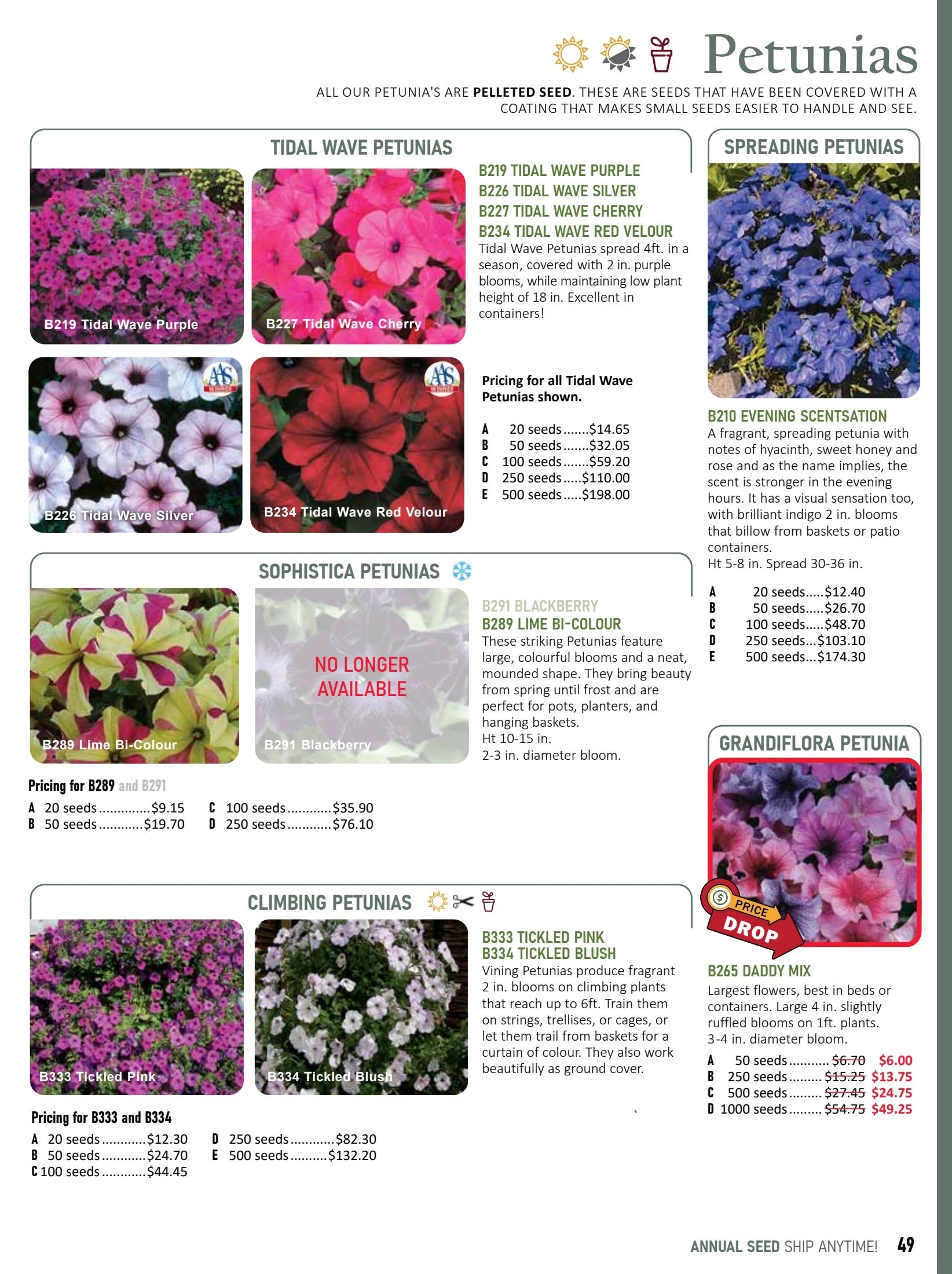 T&T Seeds Catalogue Flyer January 1 - December 31, 2026