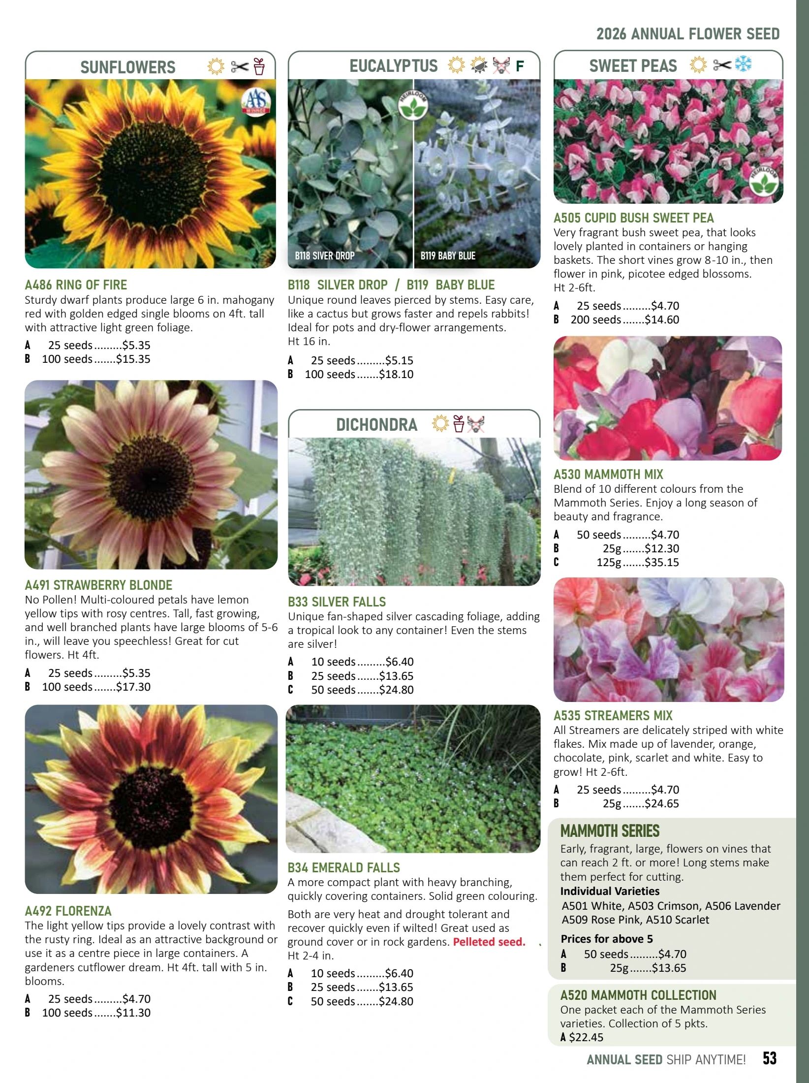 T&T Seeds Catalogue Flyer January 1 - December 31, 2026