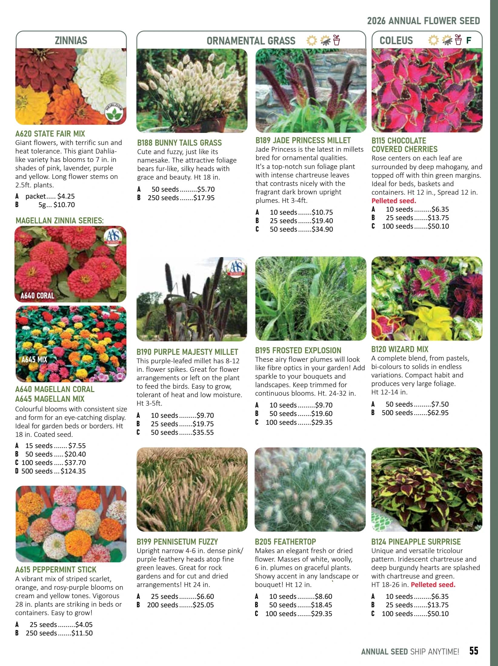 T&T Seeds Catalogue Flyer January 1 - December 31, 2026