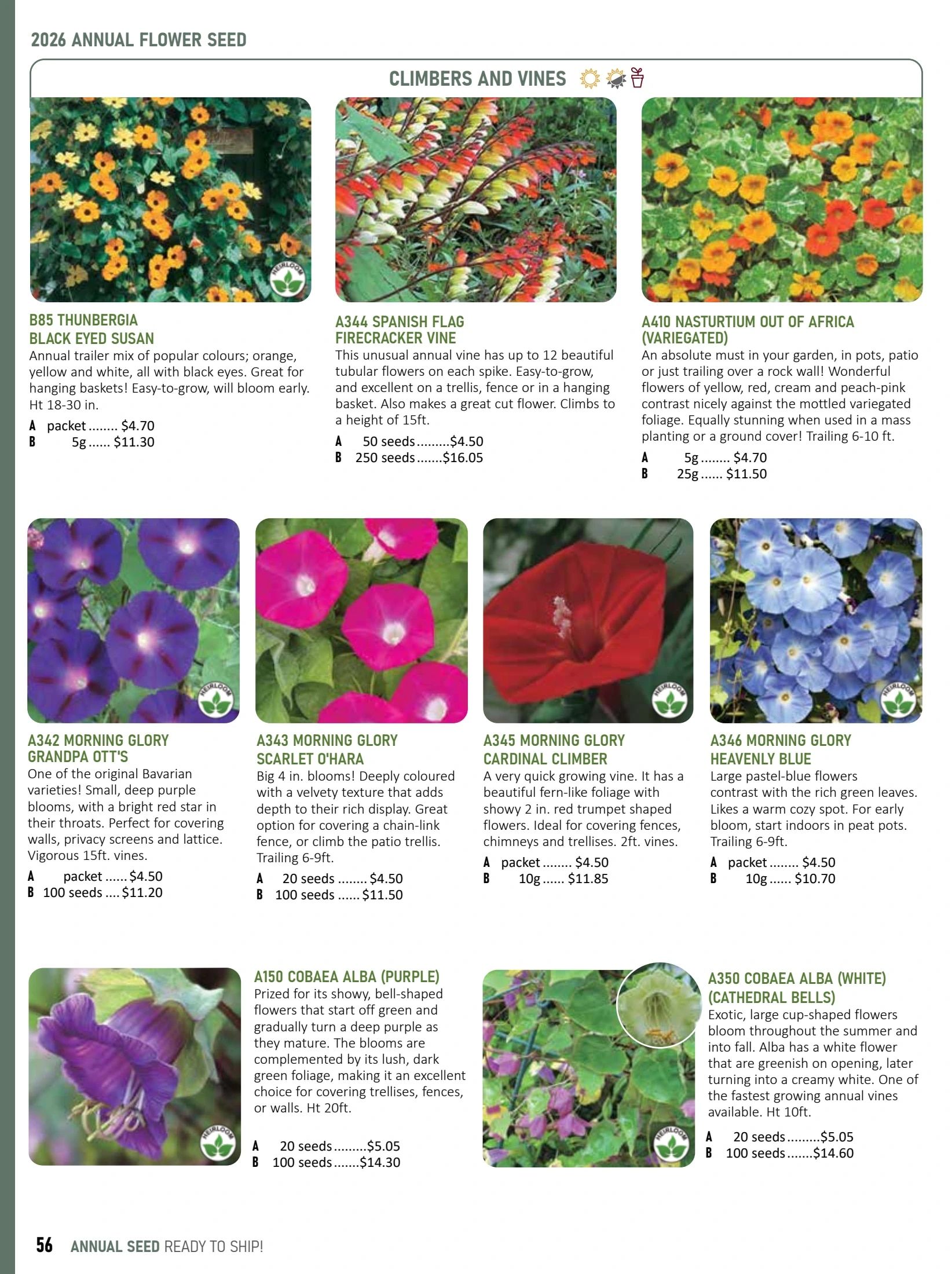 T&T Seeds Catalogue Flyer January 1 - December 31, 2026
