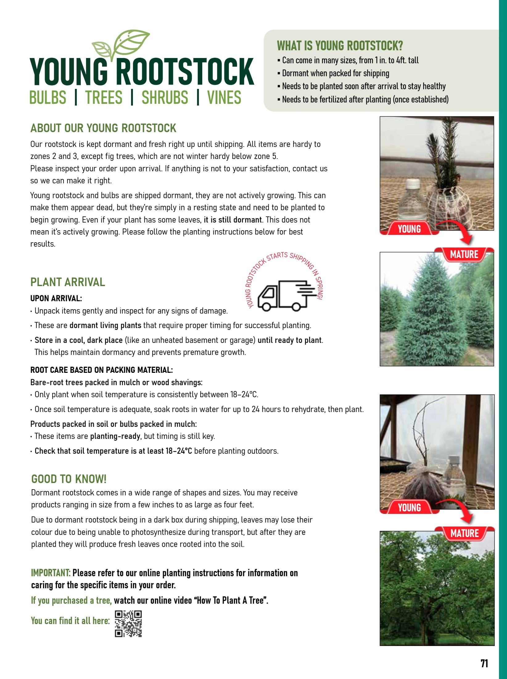 T&T Seeds Catalogue Flyer January 1 - December 31, 2026
