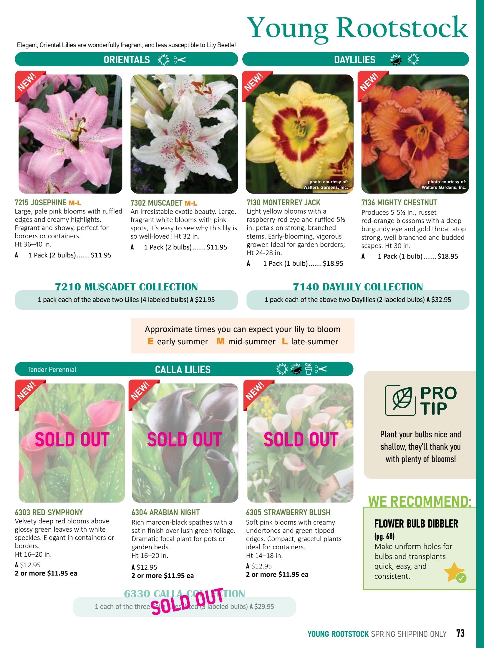 T&T Seeds Catalogue Flyer January 1 - December 31, 2026
