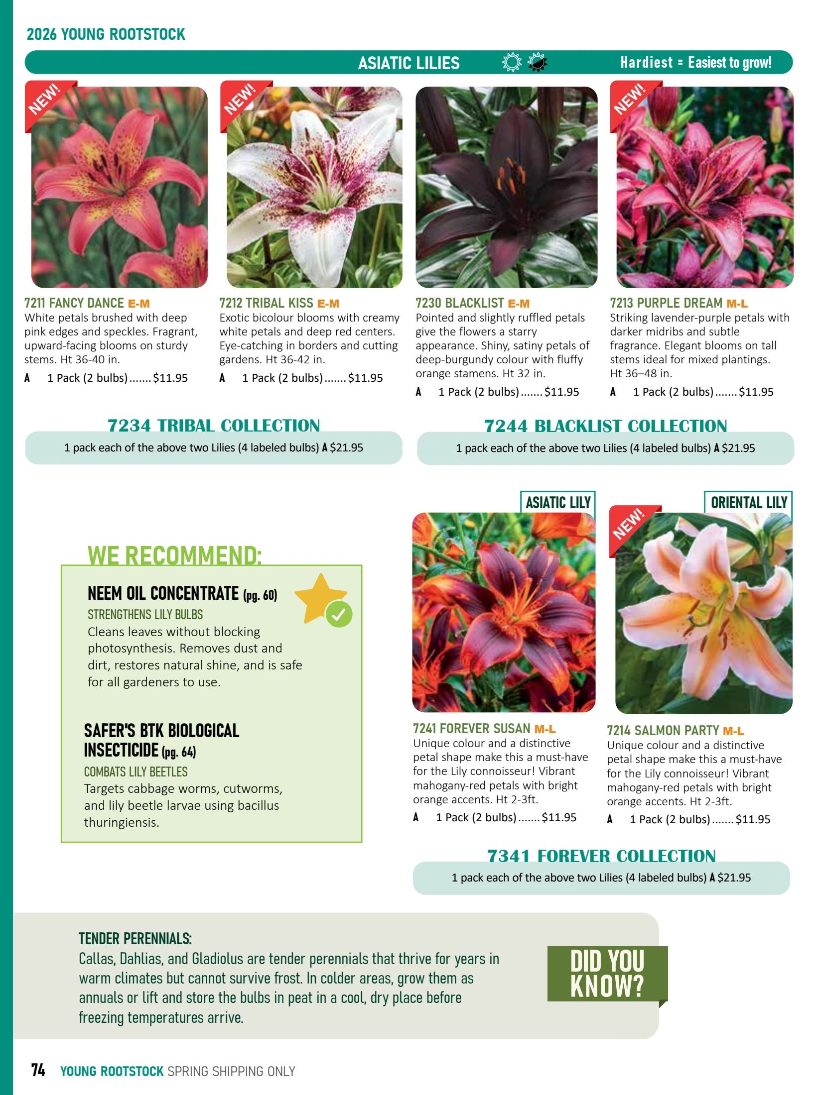 T&T Seeds Catalogue Flyer January 1 - December 31, 2026