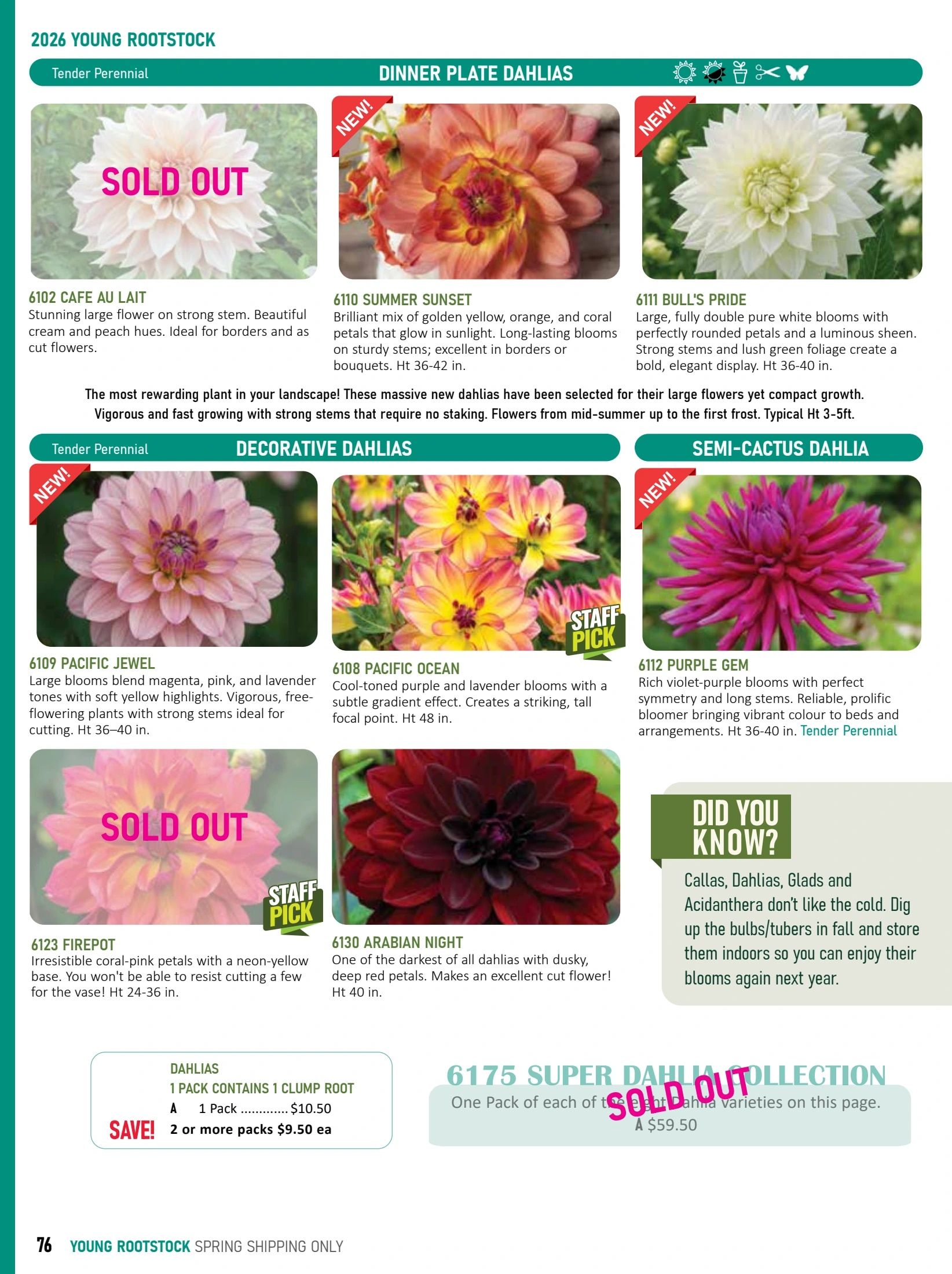 T&T Seeds Catalogue Flyer January 1 - December 31, 2026