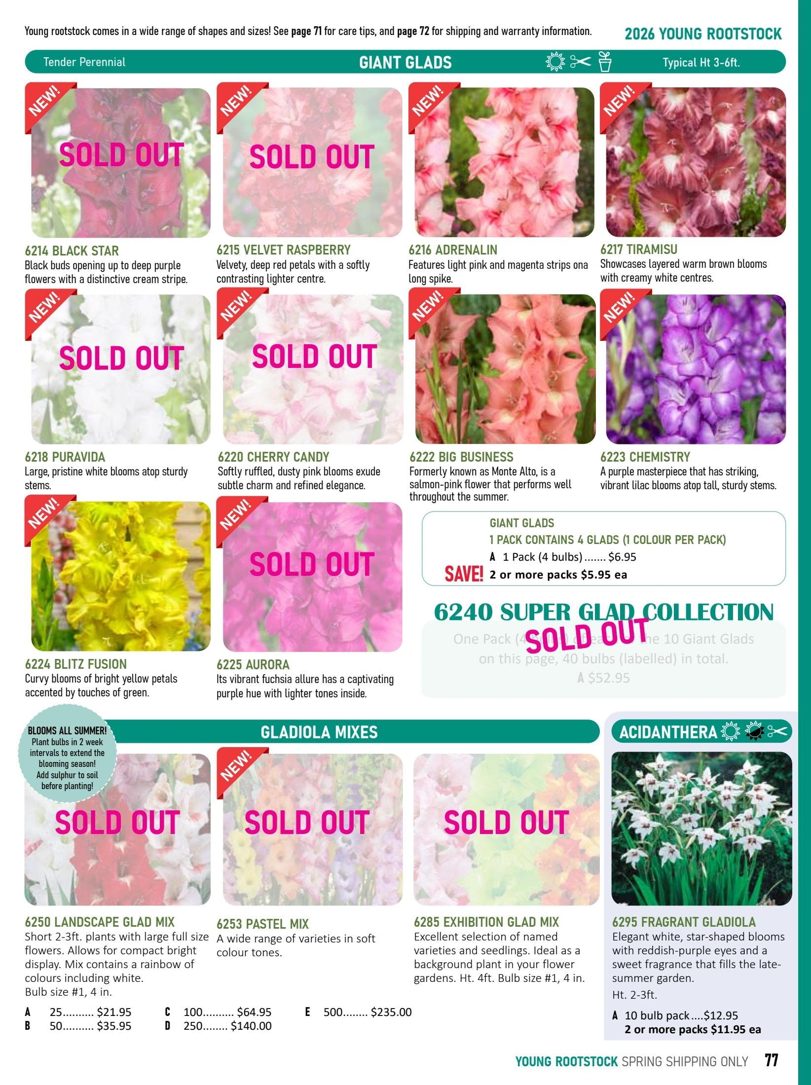 T&T Seeds Catalogue Flyer January 1 - December 31, 2026