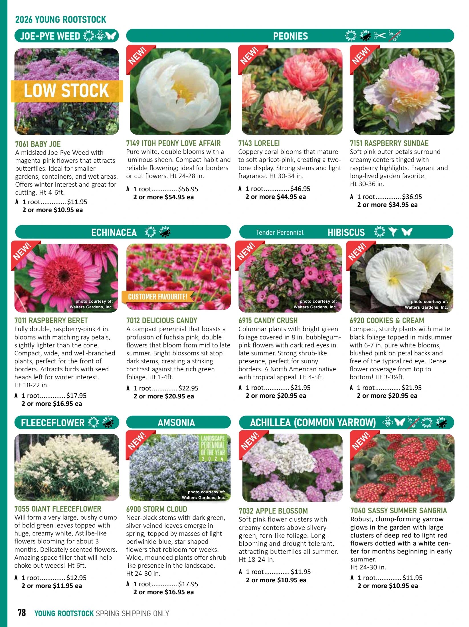 T&T Seeds Catalogue Flyer January 1 - December 31, 2026