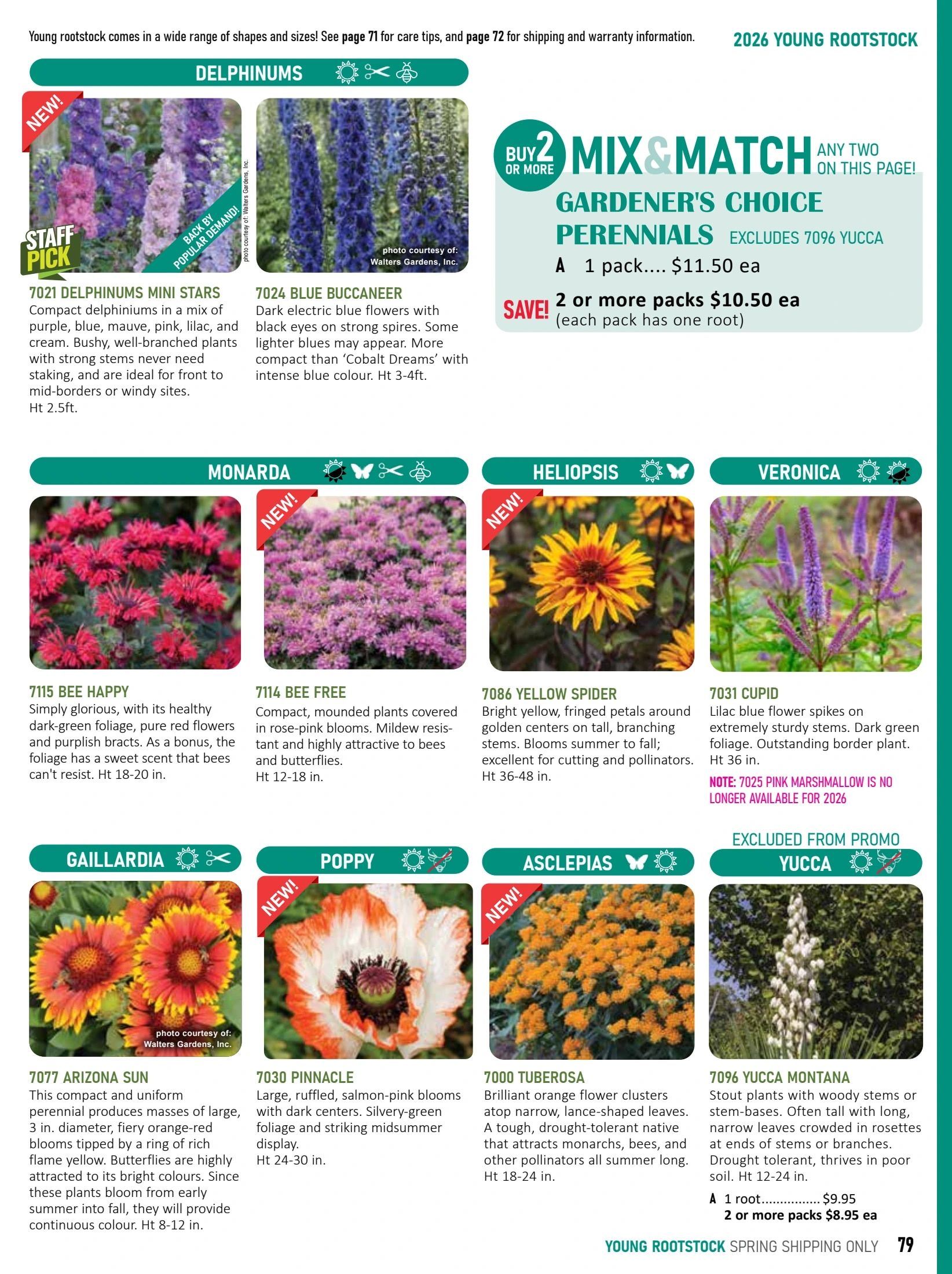 T&T Seeds Catalogue Flyer January 1 - December 31, 2026