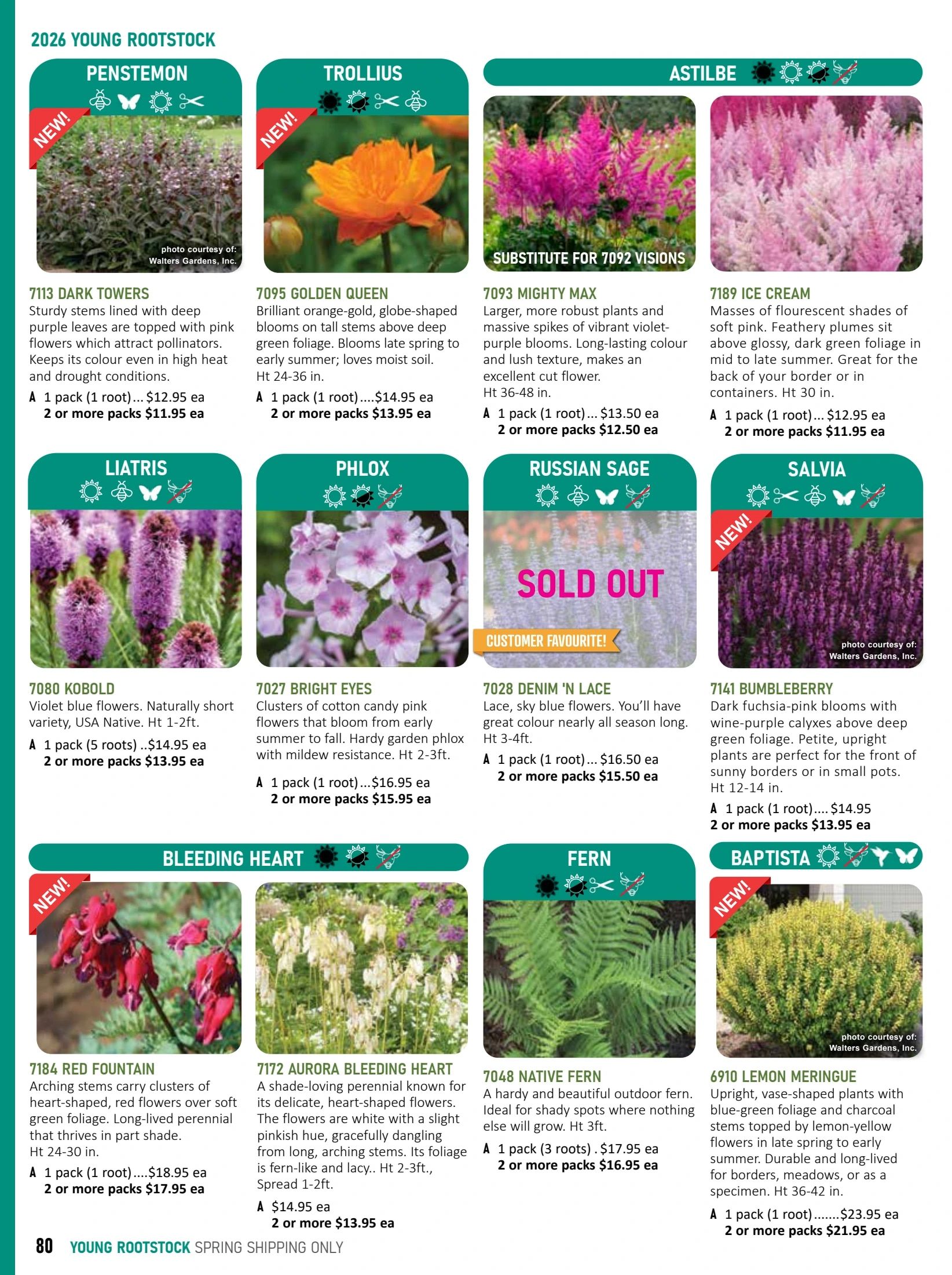 T&T Seeds Catalogue Flyer January 1 - December 31, 2026