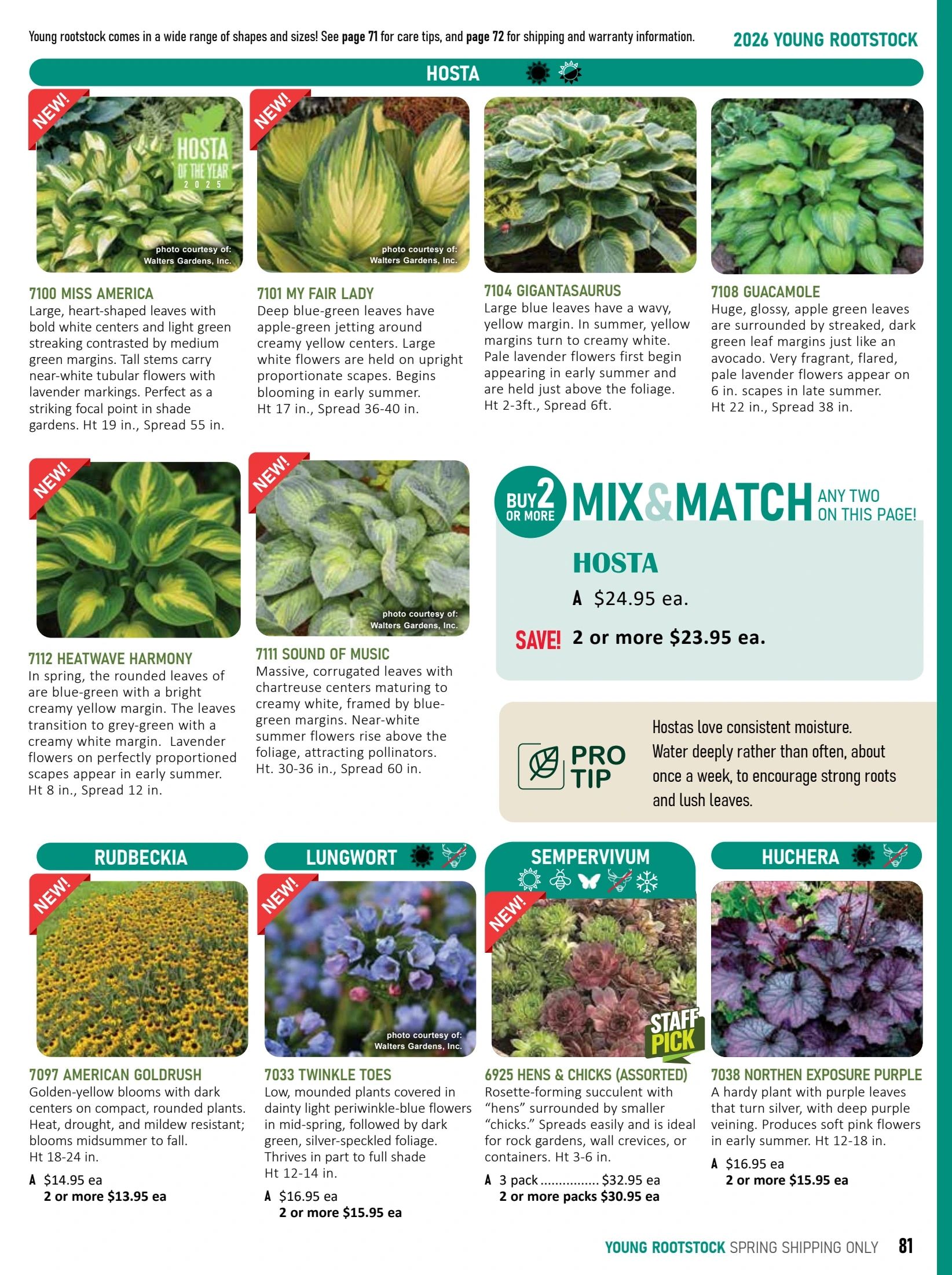 T&T Seeds Catalogue Flyer January 1 - December 31, 2026