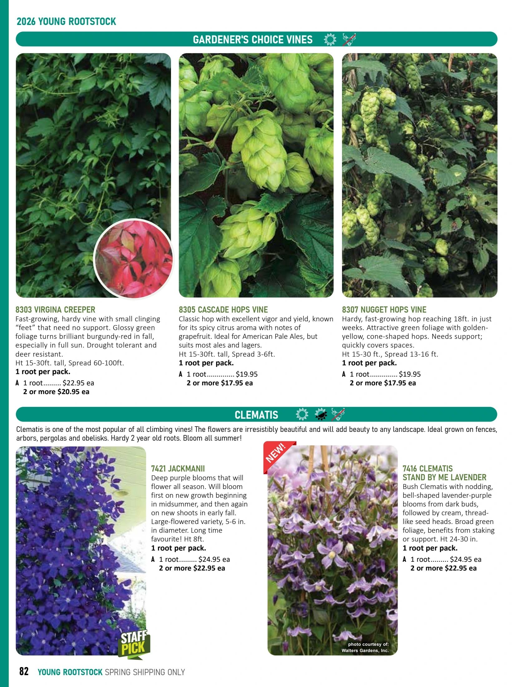 T&T Seeds Catalogue Flyer January 1 - December 31, 2026