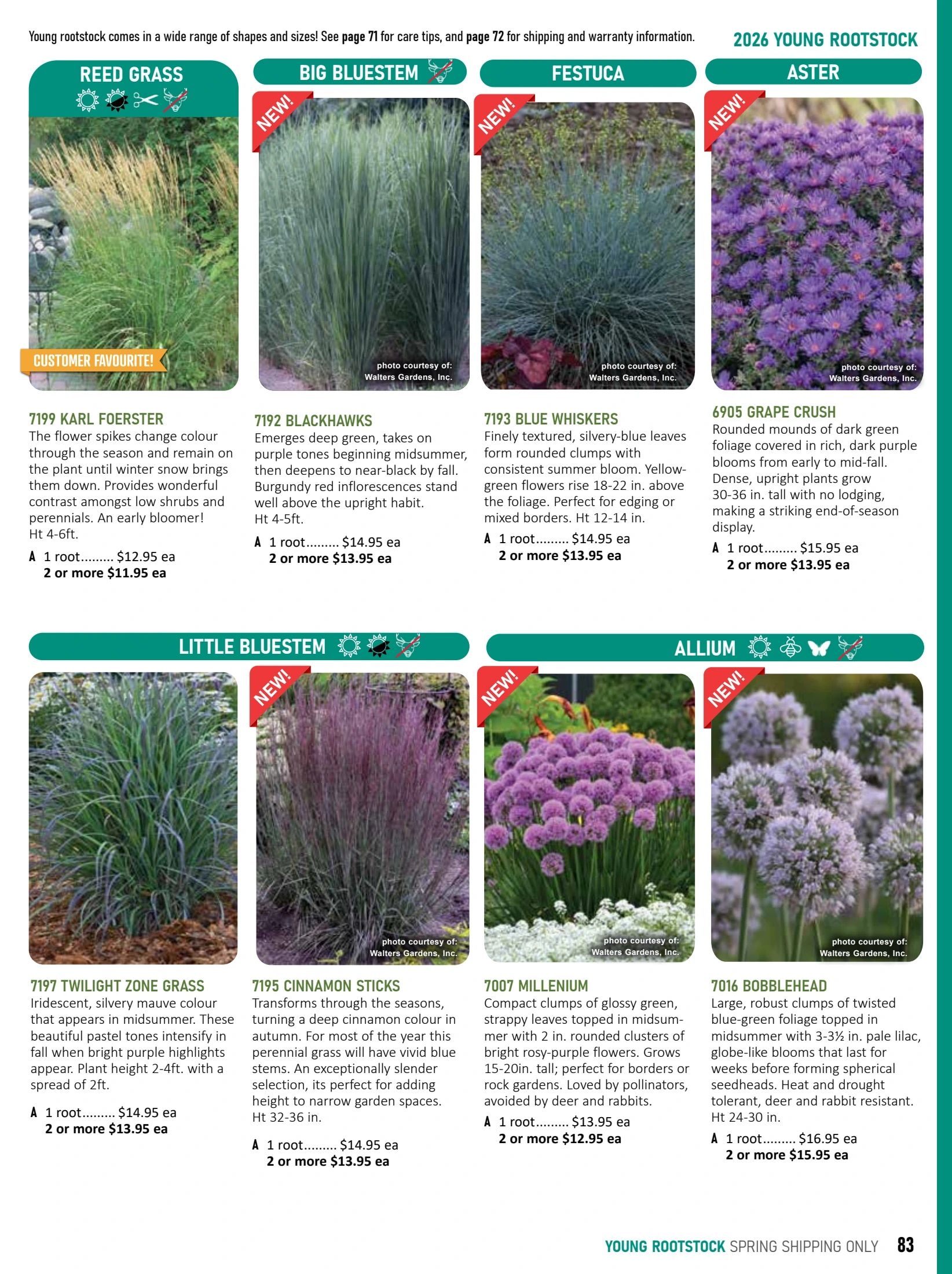 T&T Seeds Catalogue Flyer January 1 - December 31, 2026